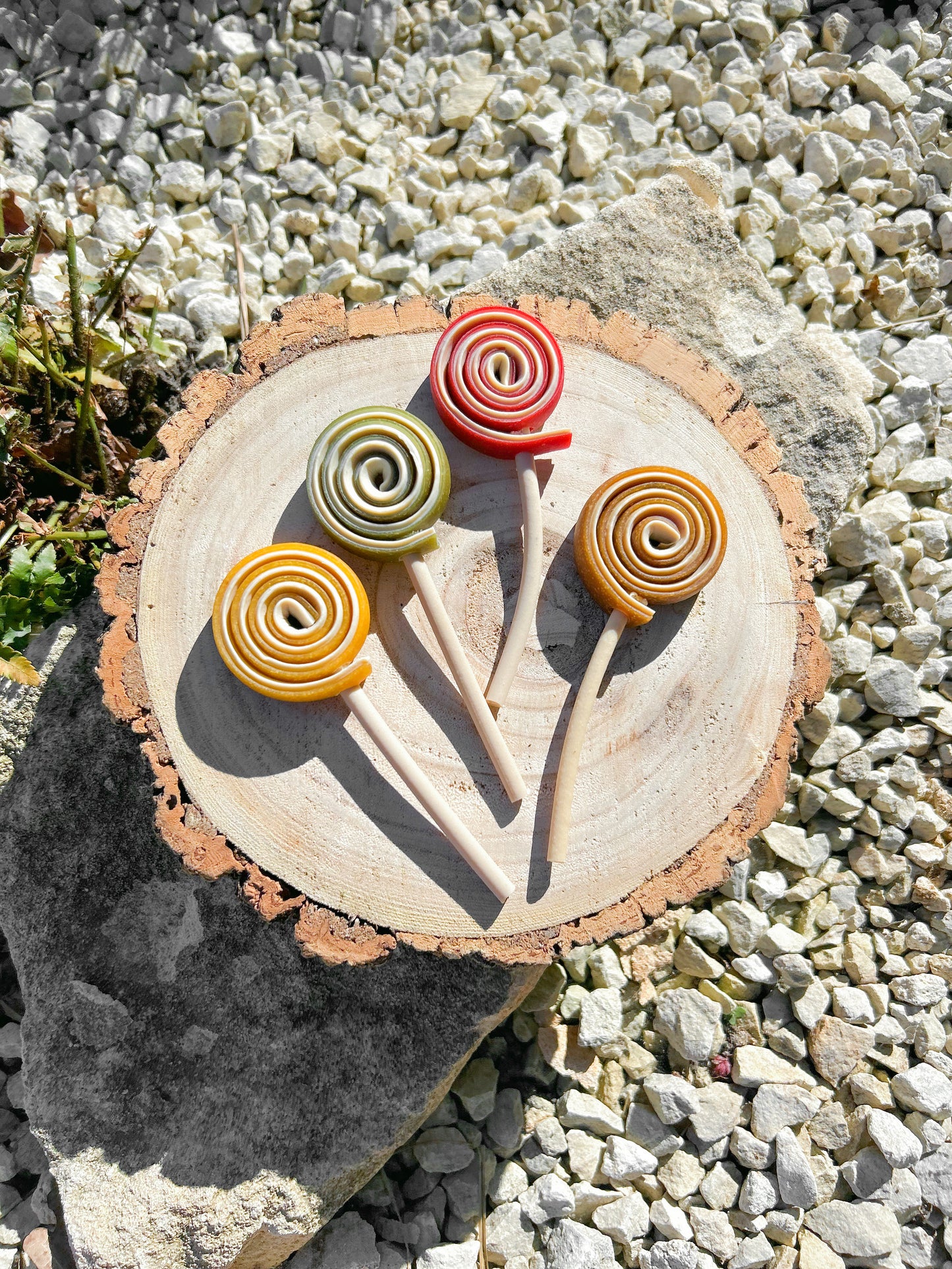 VEGGIE LOLLIPOP CHEW