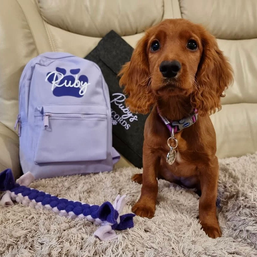 PERSONALISED PET NAME BACKPACKS