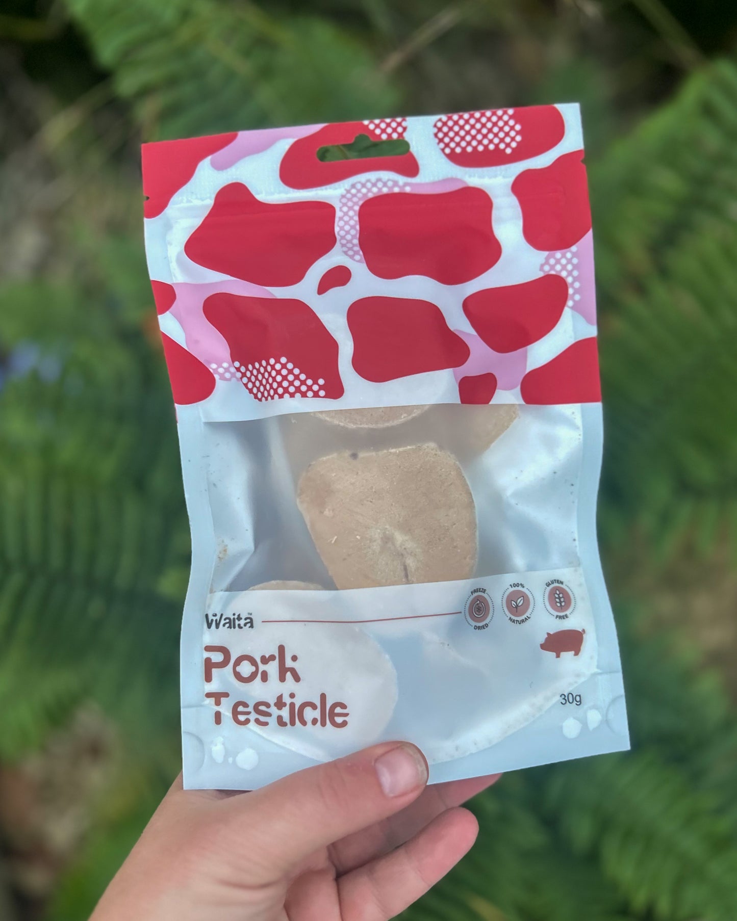 WAITA FREEZE DRIED PORK TESTICLE 30g
