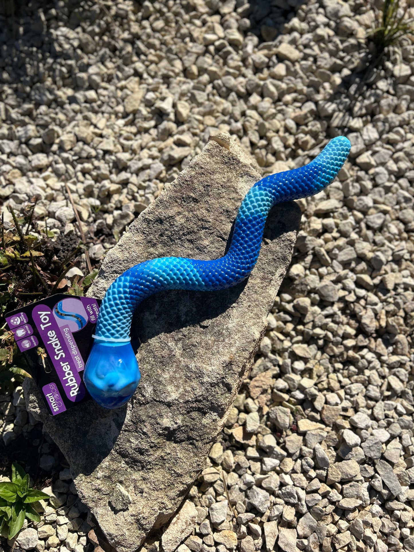 STUFF A SNAKE ENRICHMENT TOY
