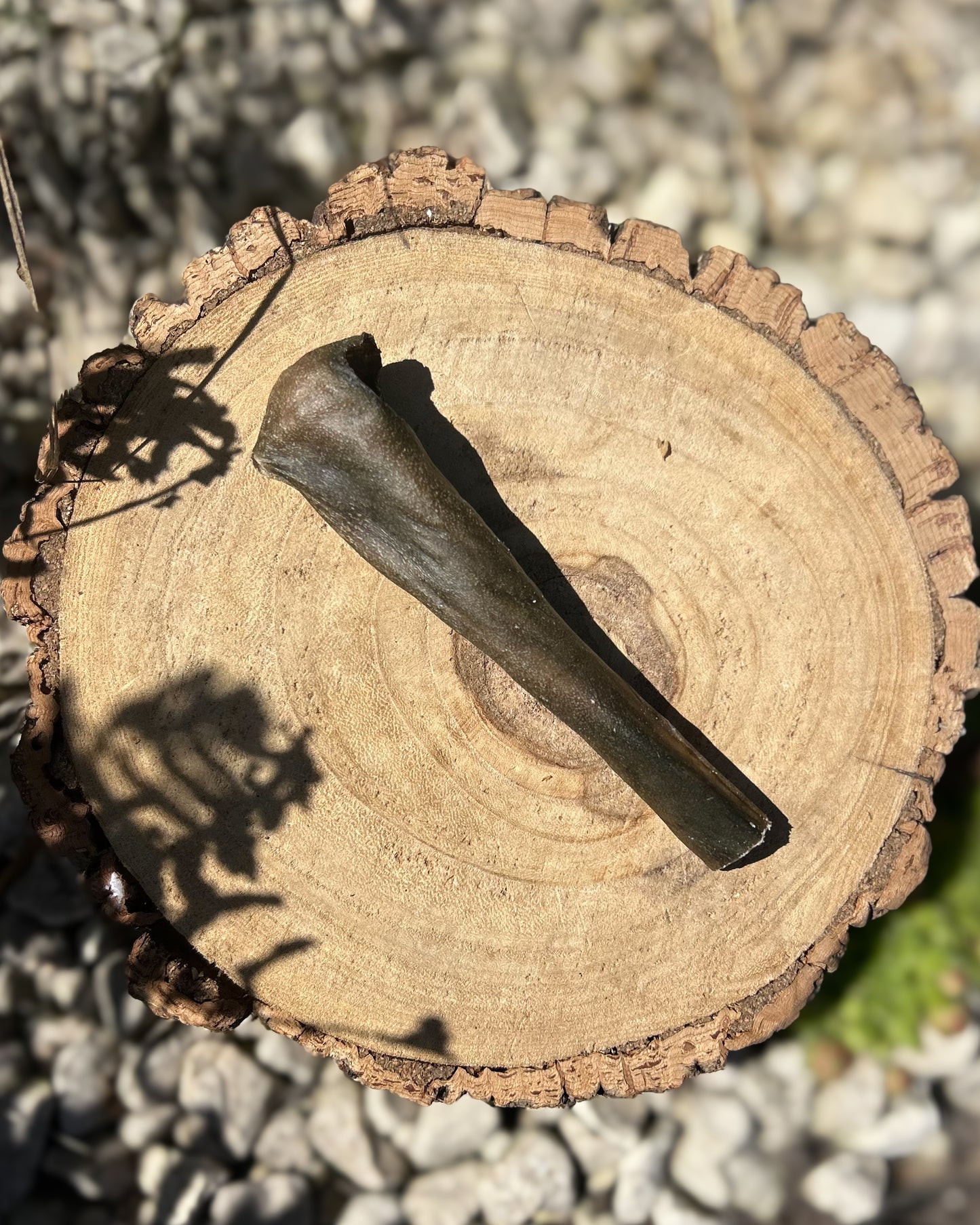 CAMEL SKIN DOG CHEW