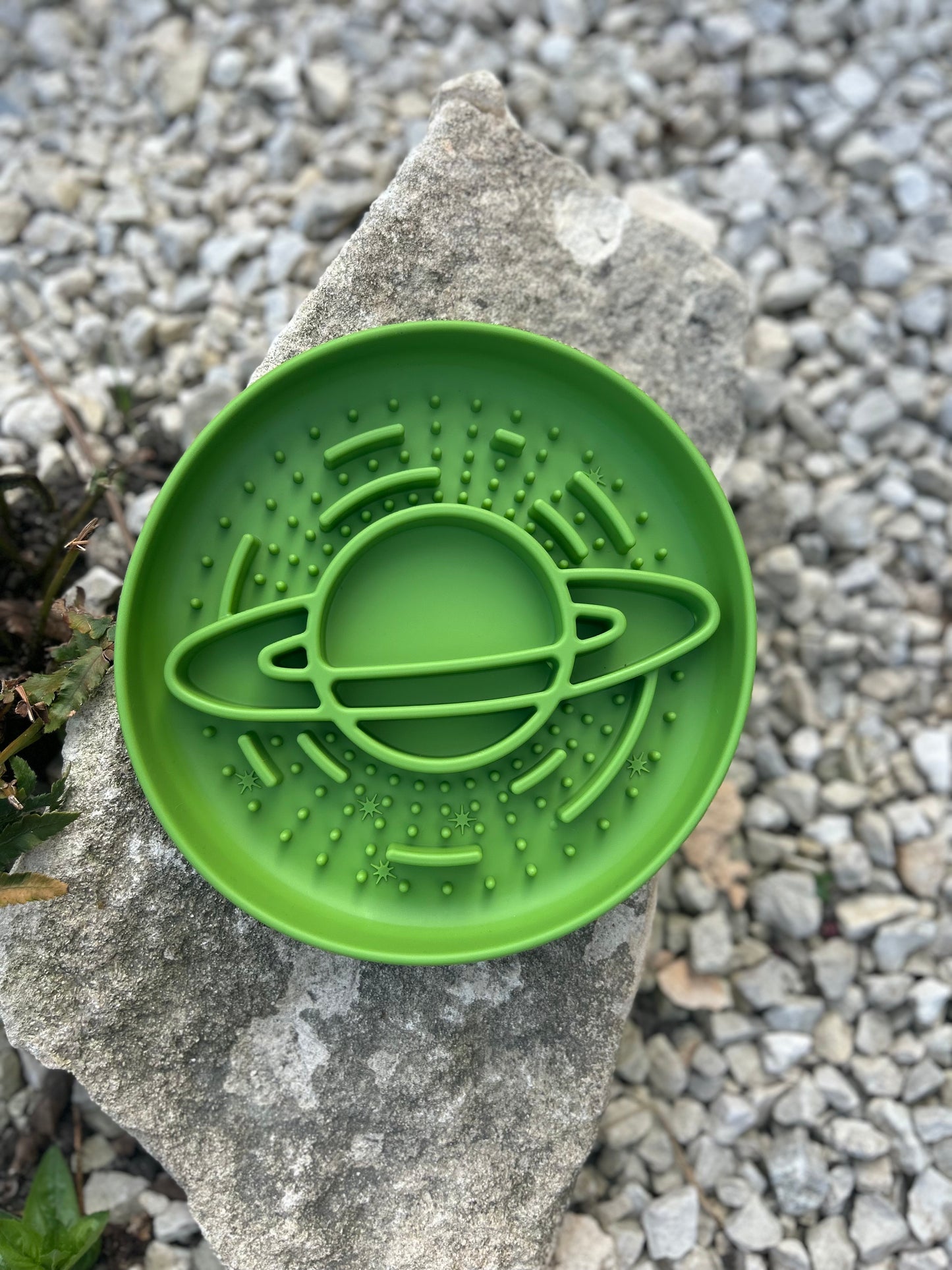 OUT OF THIS WORLD SLOW FEEDER BOWL