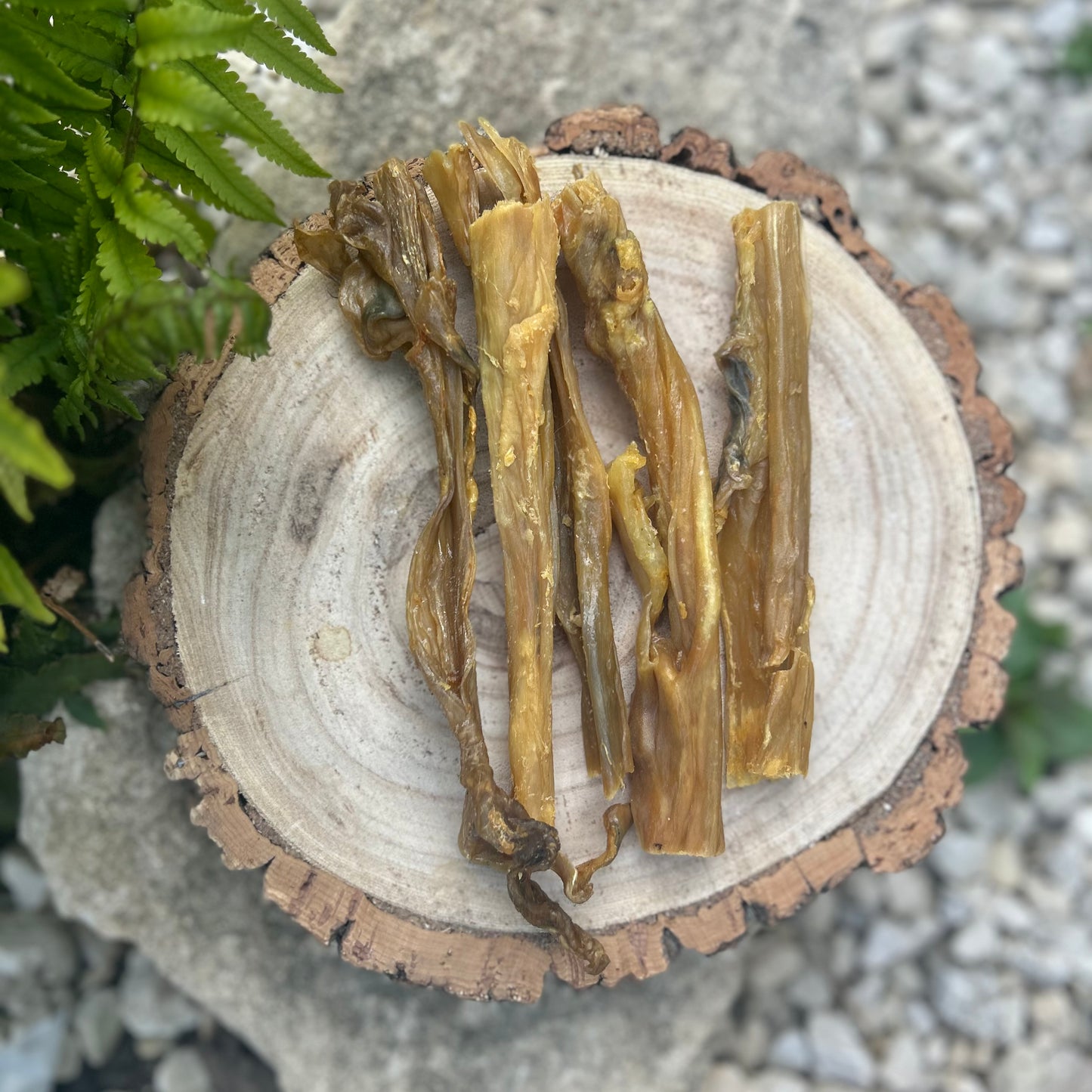 JR RABBIT SKIN CHEW (5 PIECES)
