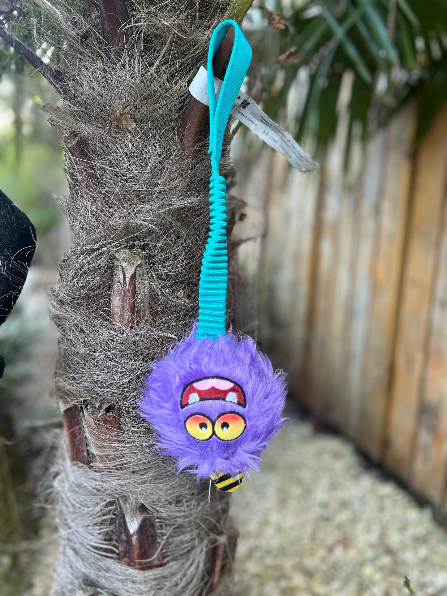 MONSTER LOVE BUNGEE BALL THROW