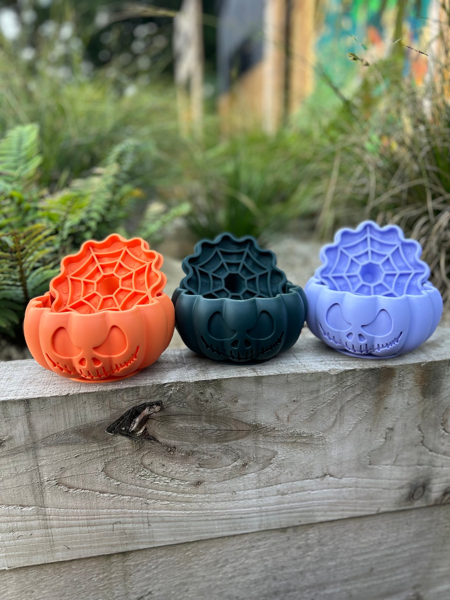 THE PUMPKIN POT ENRICHMENT BOWL