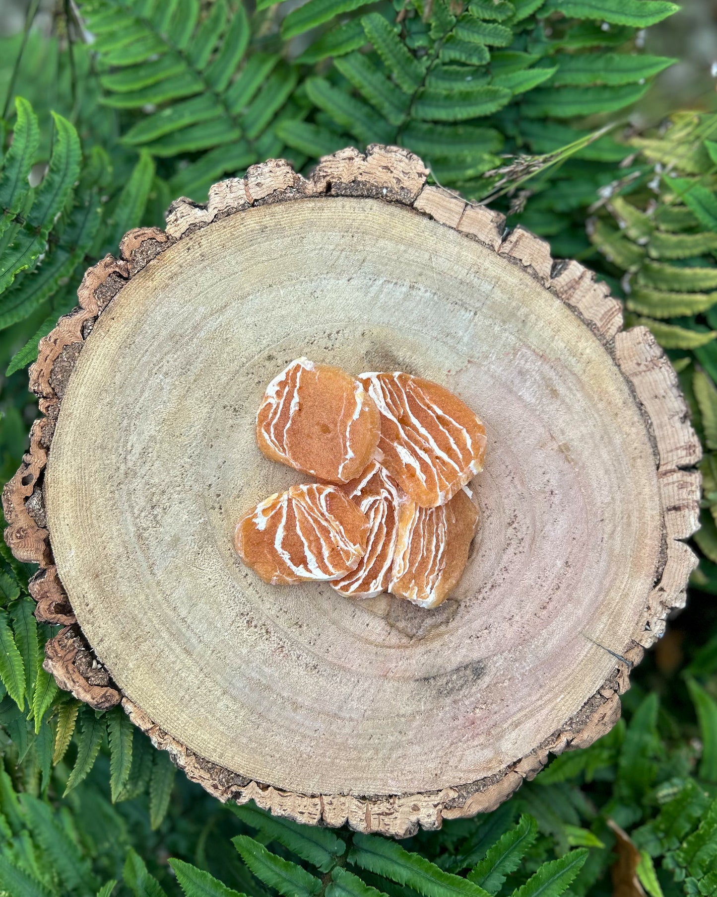 CHICKEN MEDALLION BITES