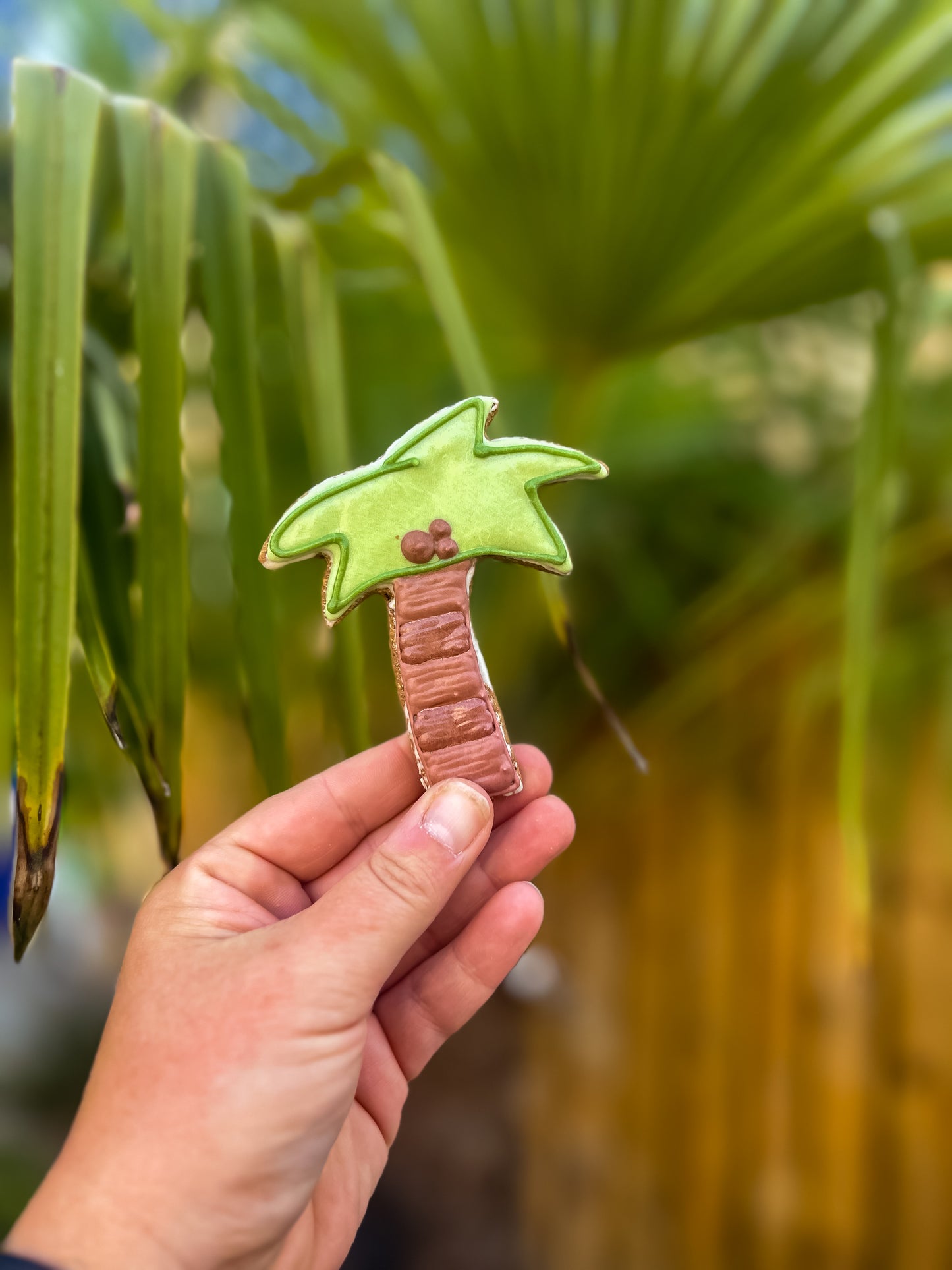 NELSON’S PALM TREE ICED BISCUIT