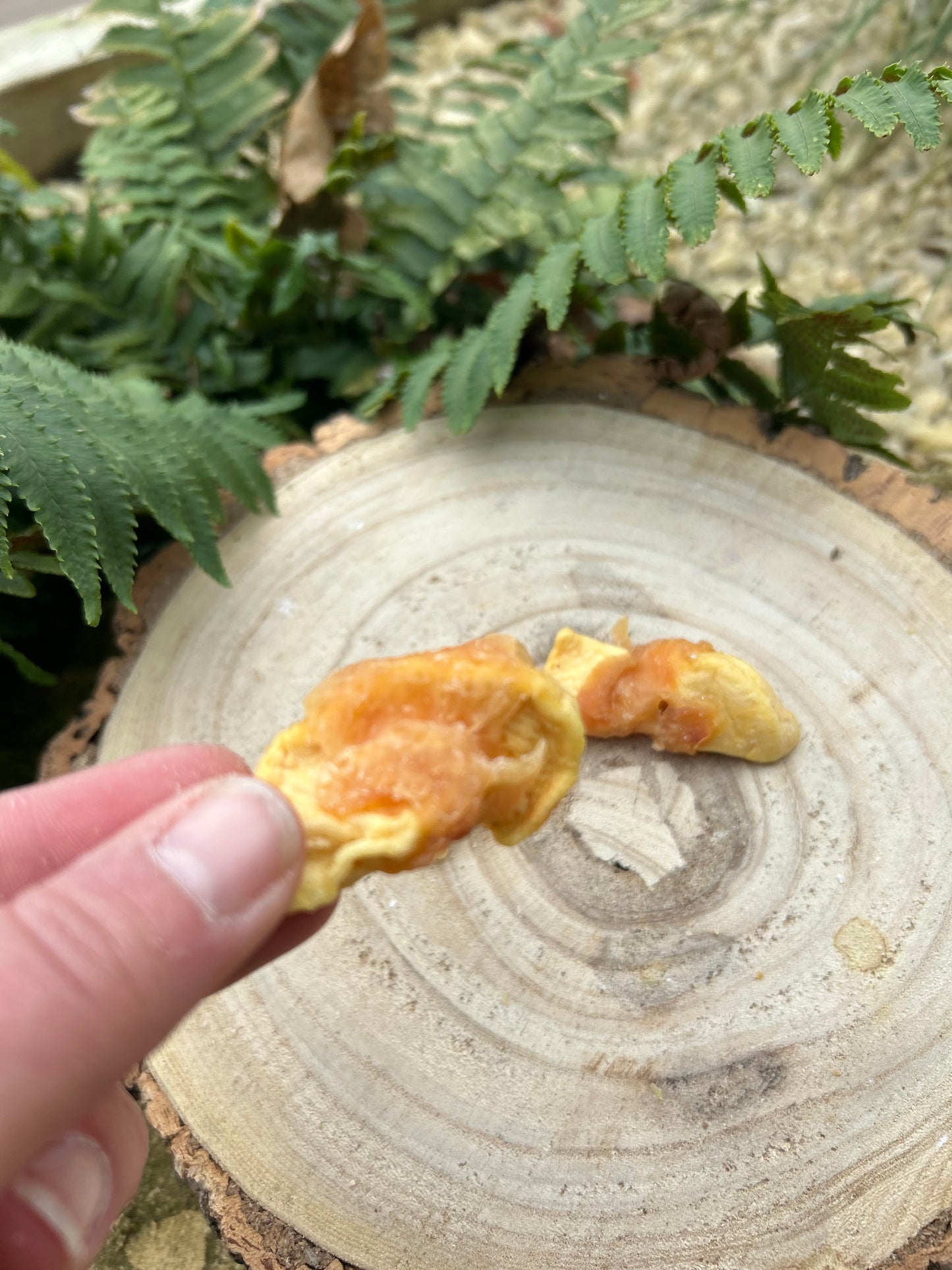 APPLE WRAPPED WITH CHICKEN 100g
