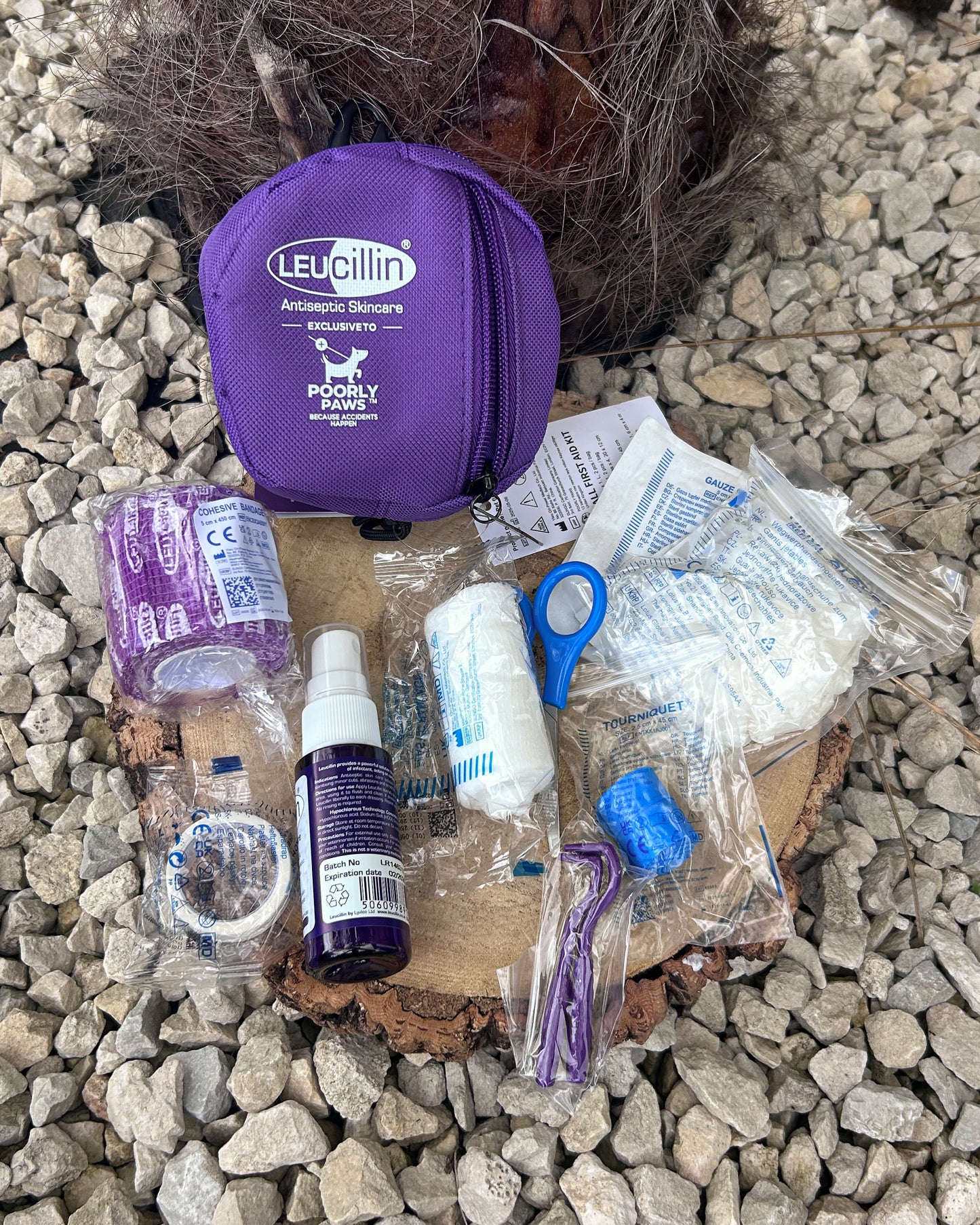LEUCILLIN POORLY PAWS DOG/CANINE FIRST AID KIT