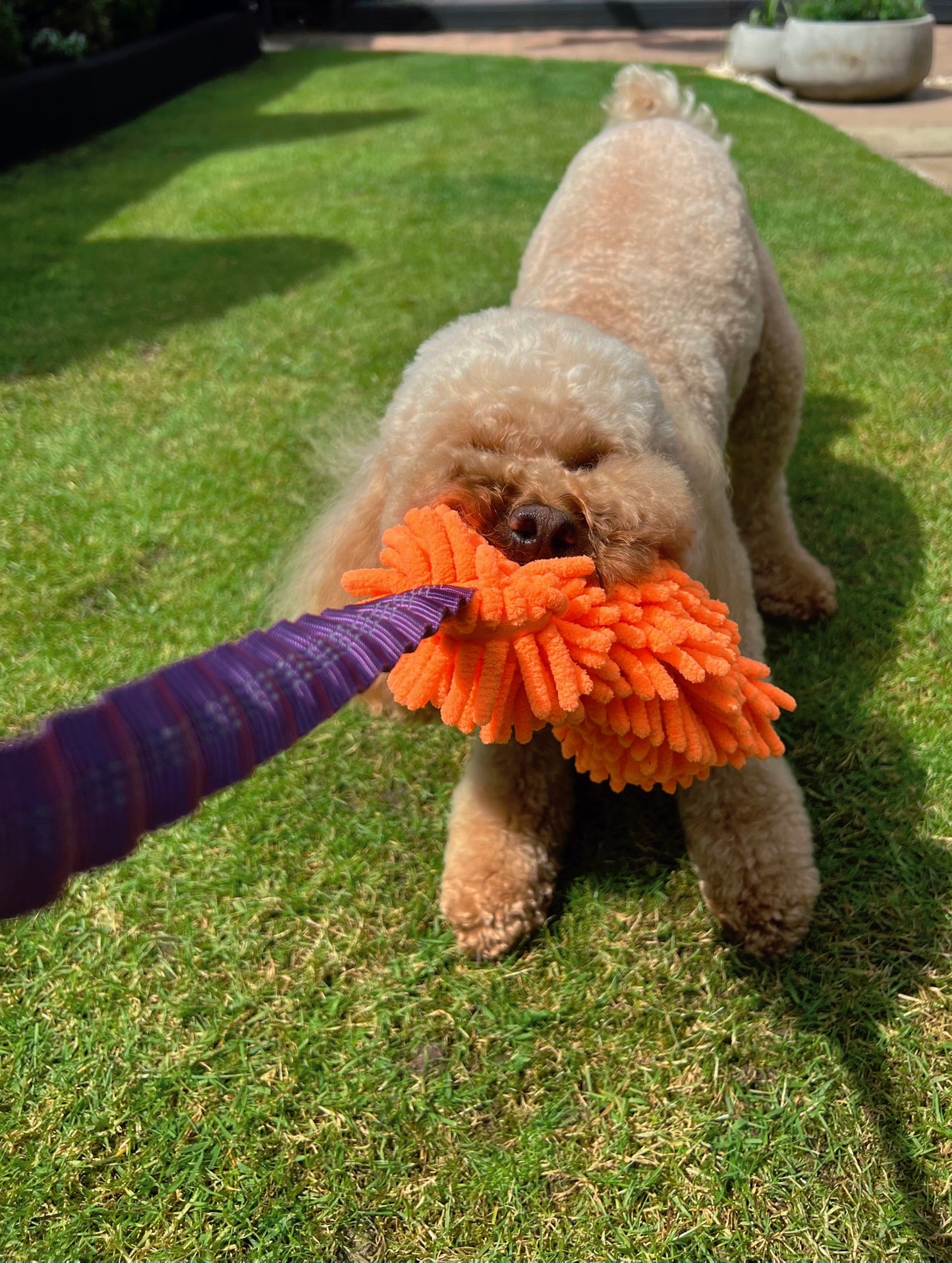 MICROFIBRE BUNGEE LURE TUG ROPES