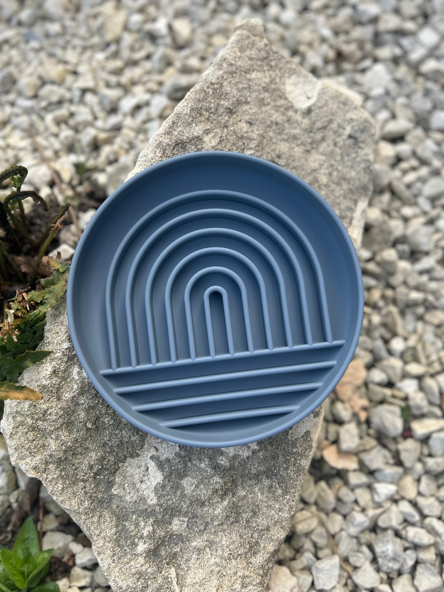 RAINBOW SILICONE SLOW FEEDER BOWL/ PLATE