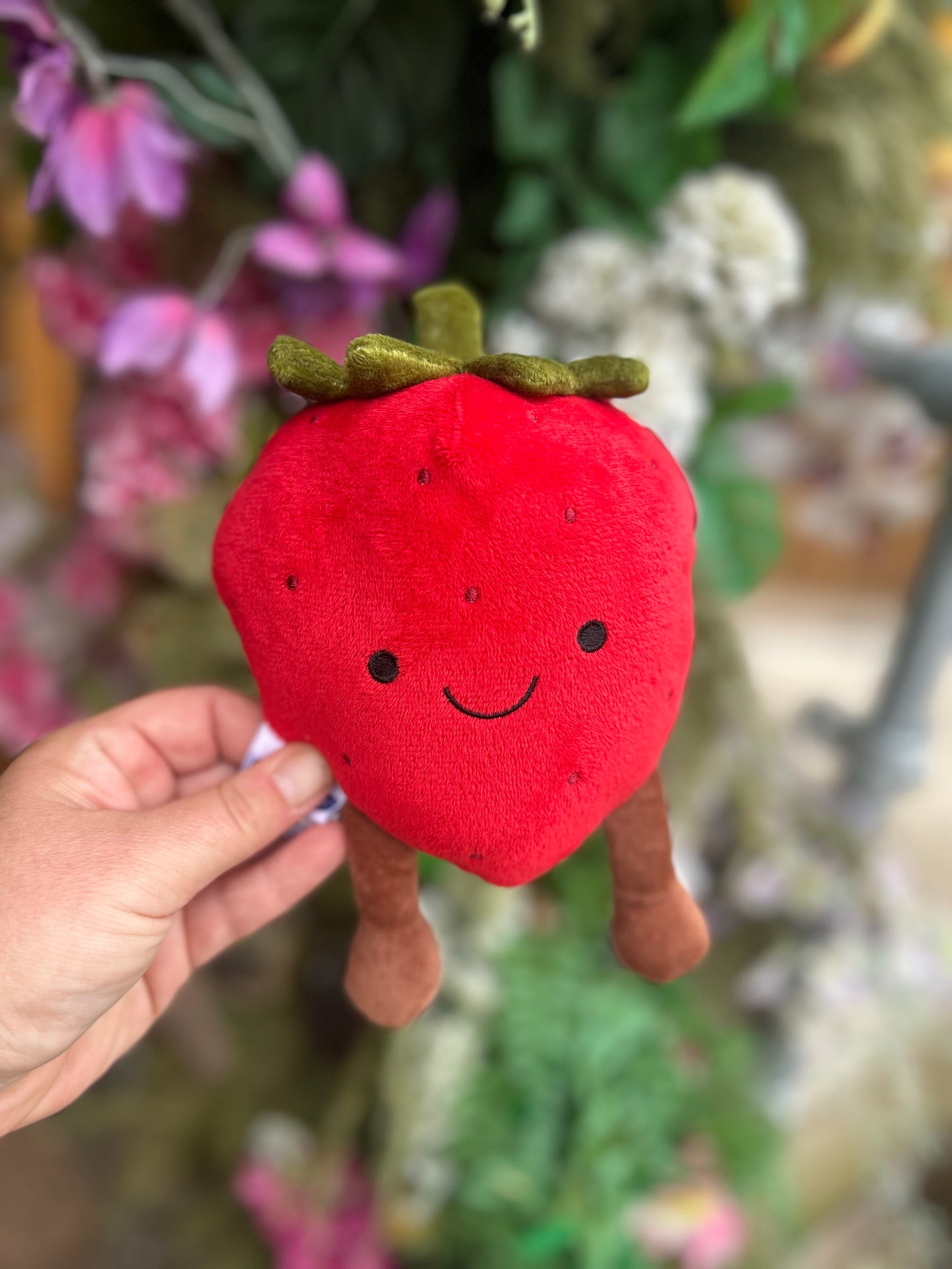 FRUITY FRIENDS FRUIT PLUSHIE DOG TOY