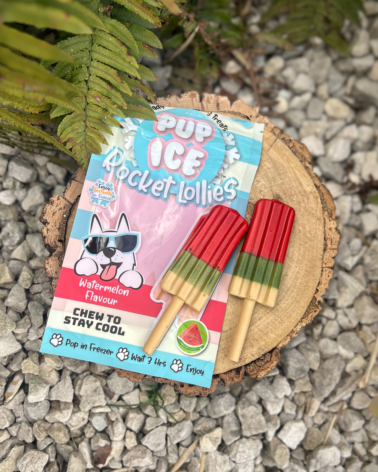 PUP ICE WATERMELON ROCKET LOLLIES (2 LOLLY PK - CONTAINS CHICKEN)