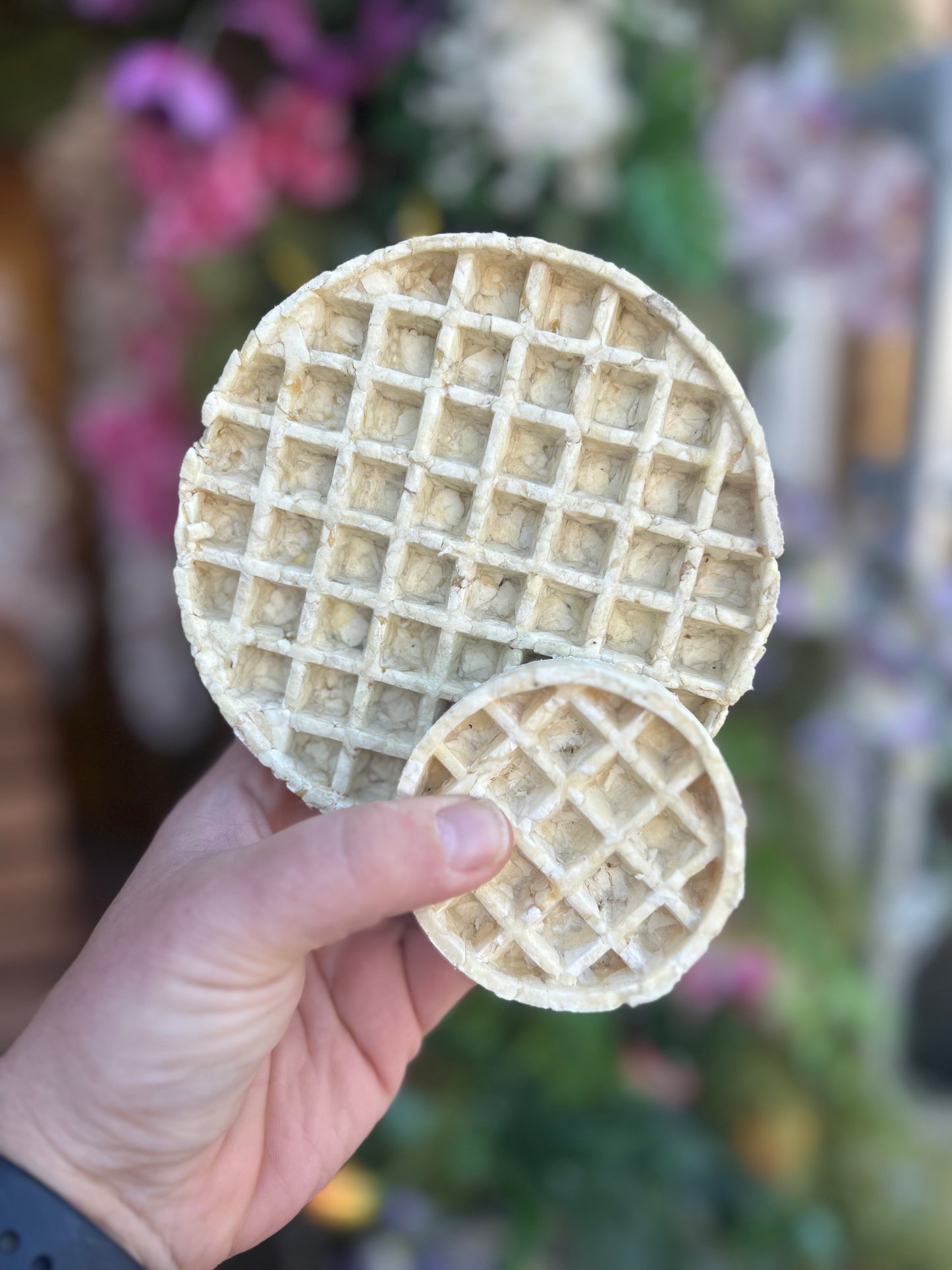 ANCO NATURAL COLLAGEN WAFFLE CHEW
