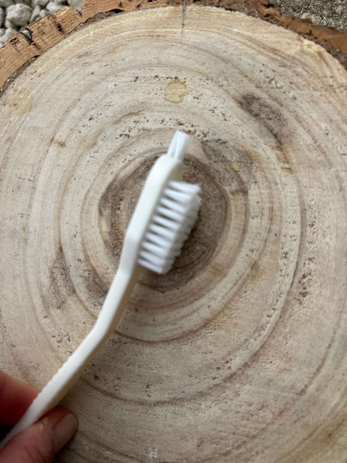 ENRICHMENT ACCESSORIES (CLEANING BRUSH & SPATULA)