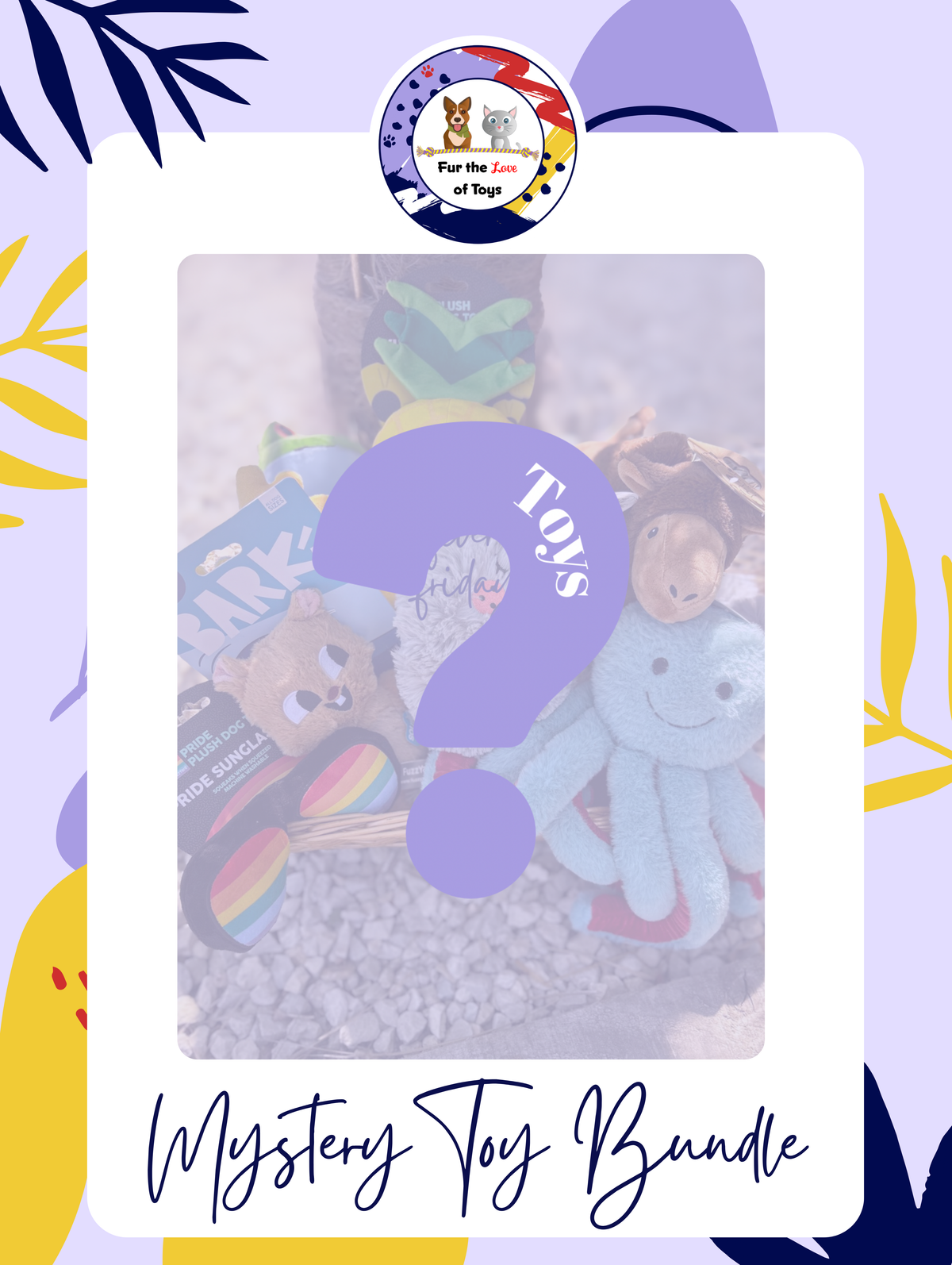 FIVER FRIDAY - MYSTERY MADNESS - MYSTERY TOY BUNDLE
