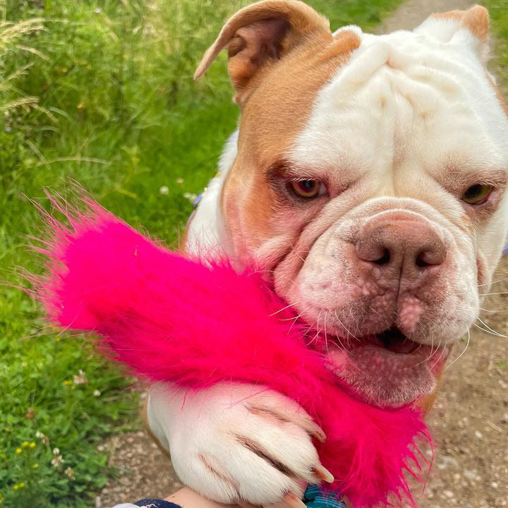 FAUX FUR BUNGEE LURE TUG ROPES