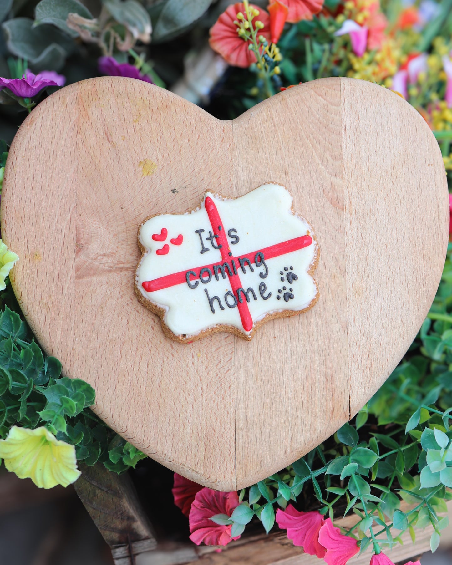 NELSONS TREATS “IT’S COMING HOME” ENGlAND WORLD CUP HAND BAKED DOG BISCUIT