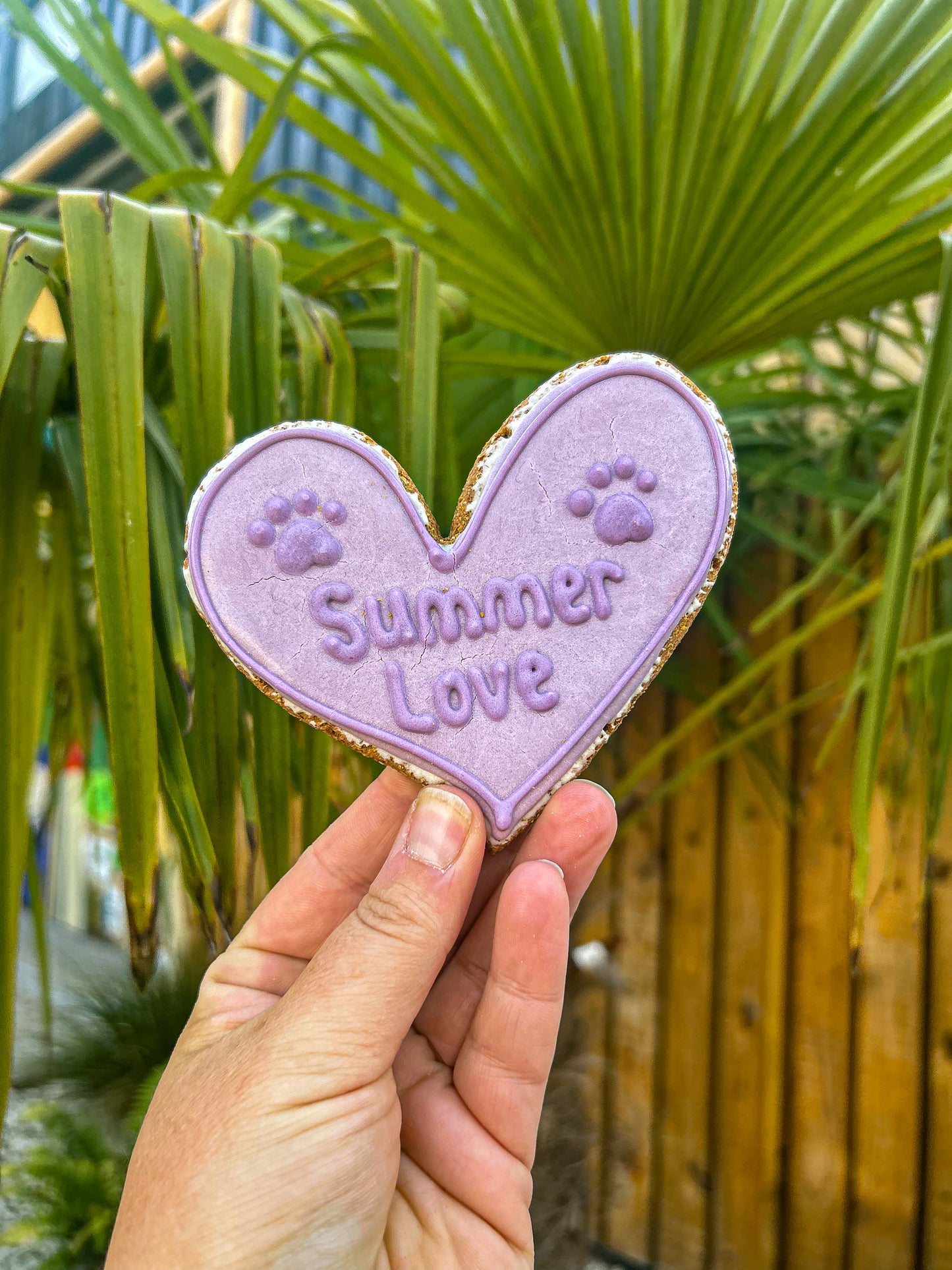 NELSON’S SUMMER LOVE LARGE PURPLE HEART ICED BISCUIT