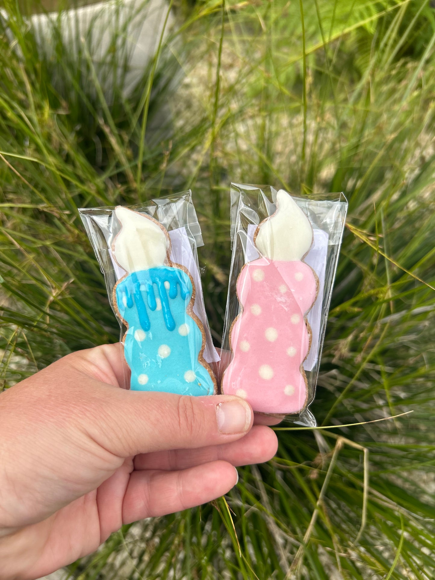 NELSON’S LOLLY CANDLE BIRTHDAY BISCUIT