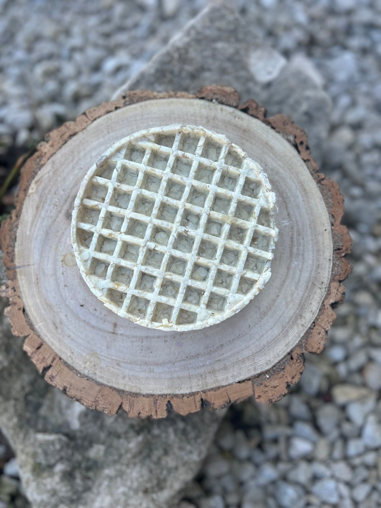 ANCO NATURAL COLLAGEN WAFFLE CHEW