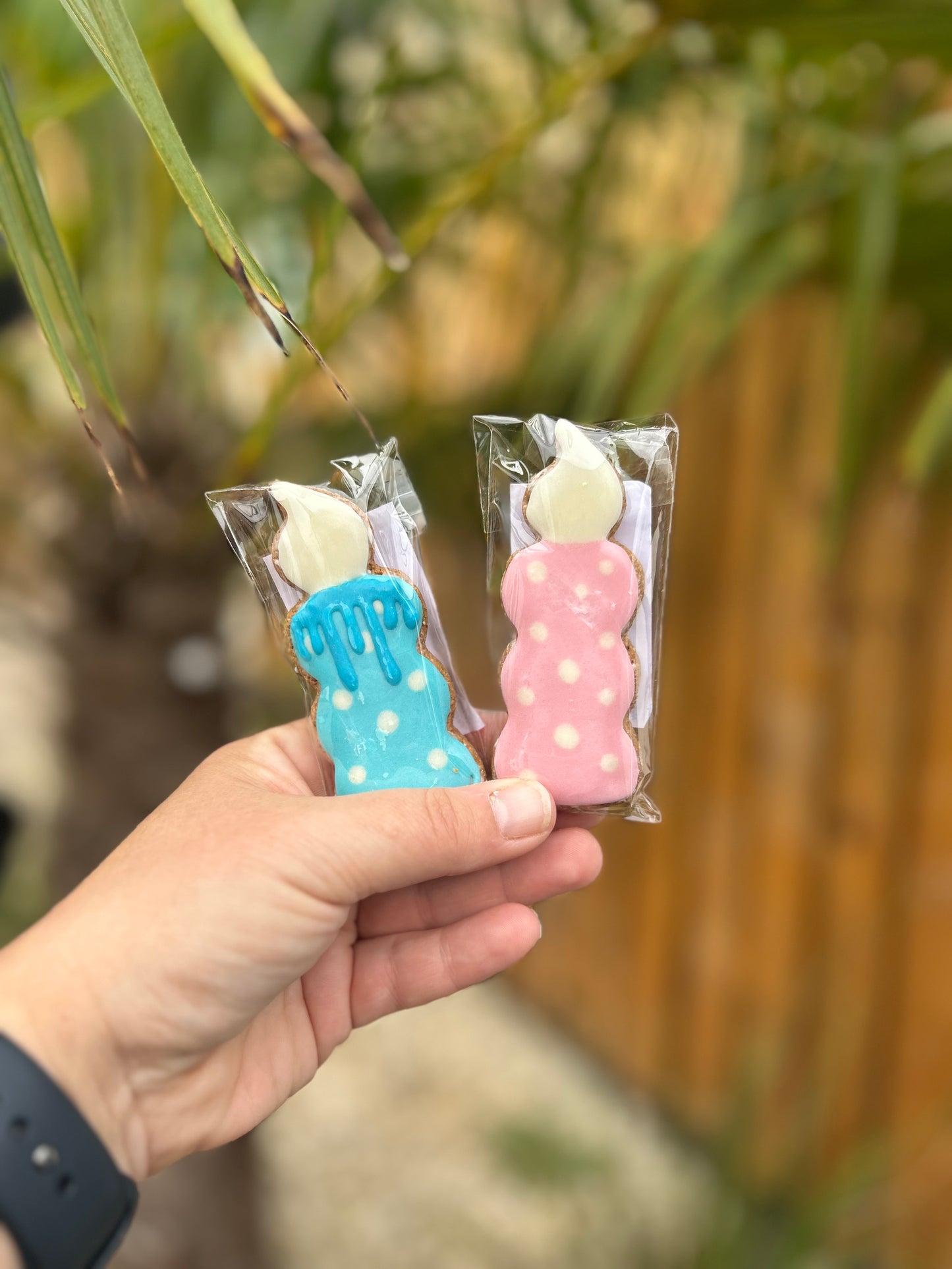 NELSON’S LOLLY CANDLE BIRTHDAY BISCUIT