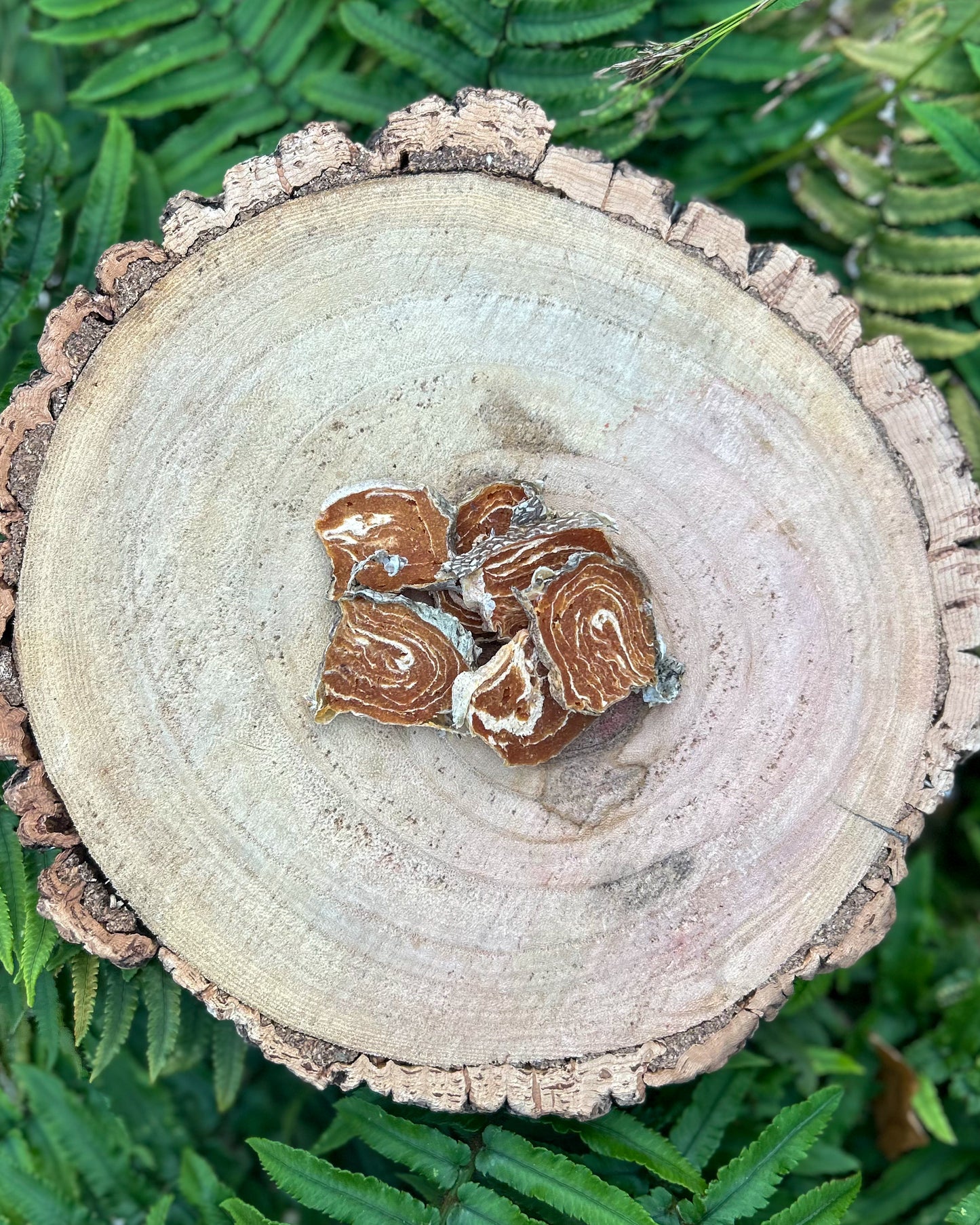 SALMON MEDALLION BITES