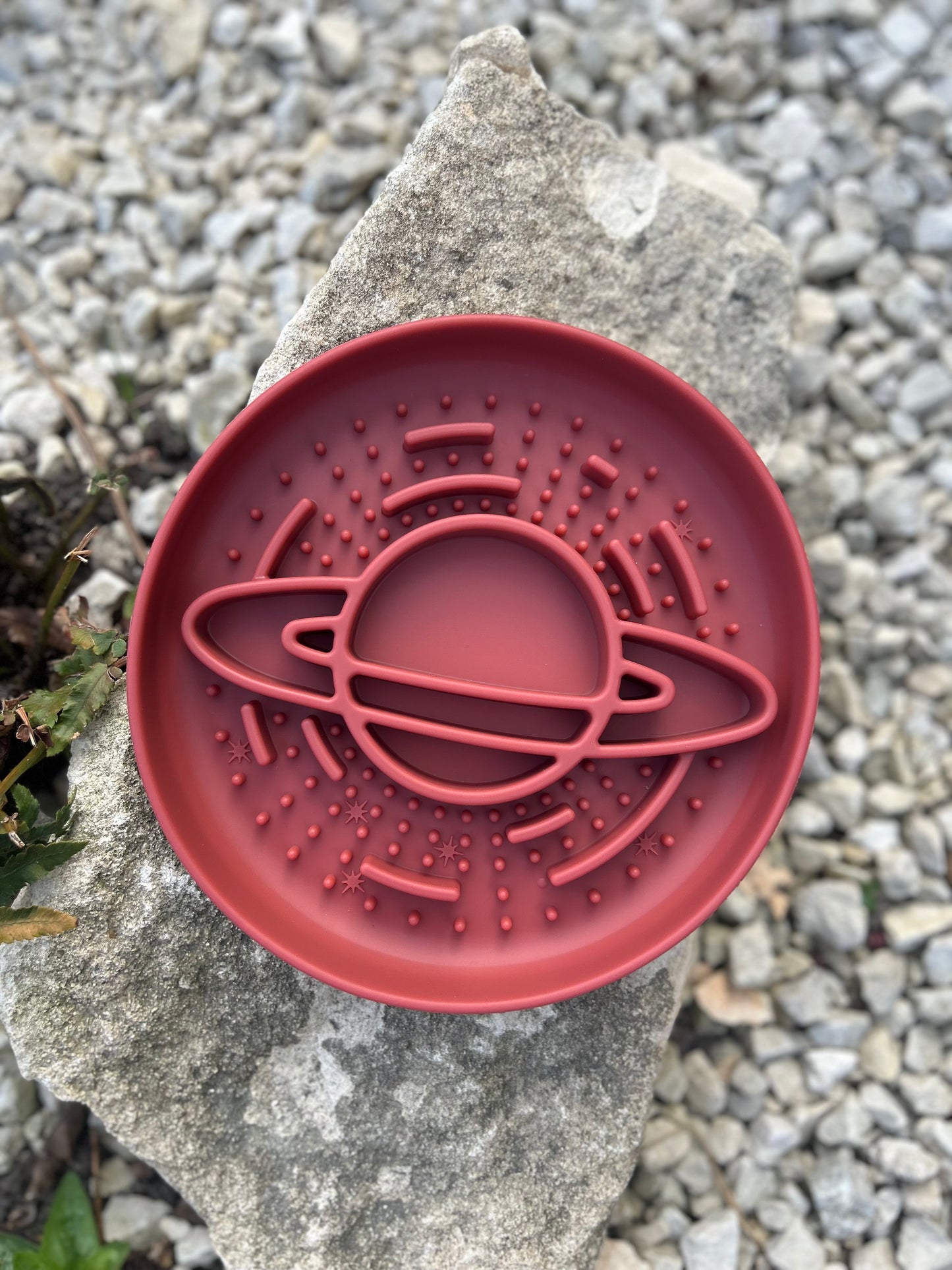 OUT OF THIS WORLD SLOW FEEDER BOWL