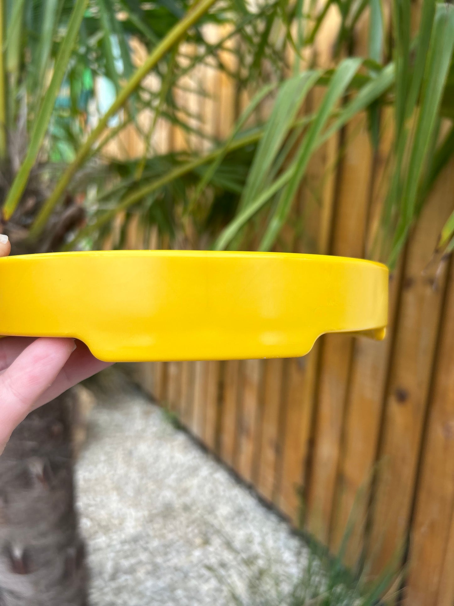 SODAPUP SUNDLOWER EBOWL TRAY SLOW FEEDER