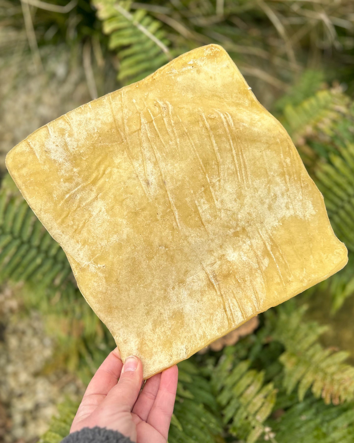 NUTRIMENT JUMBO BUFFALO SKIN PLATE