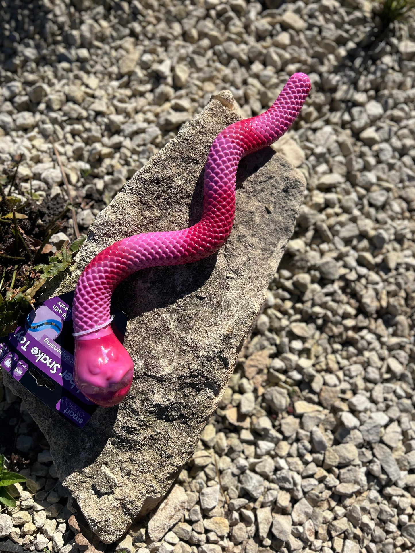 STUFF A SNAKE ENRICHMENT TOY