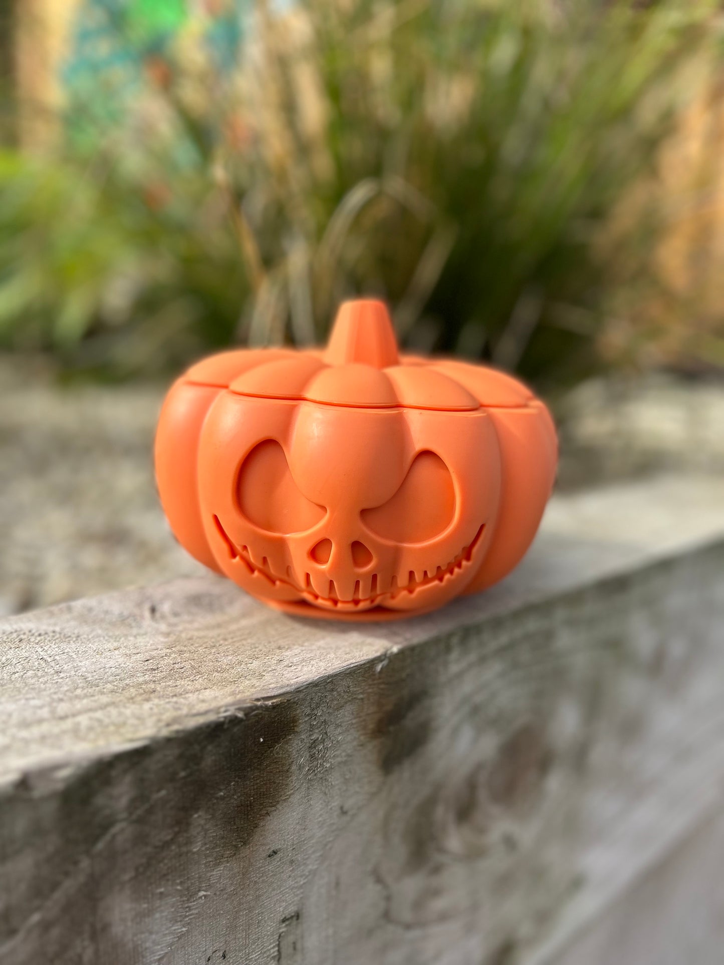 THE PUMPKIN POT ENRICHMENT BOWL