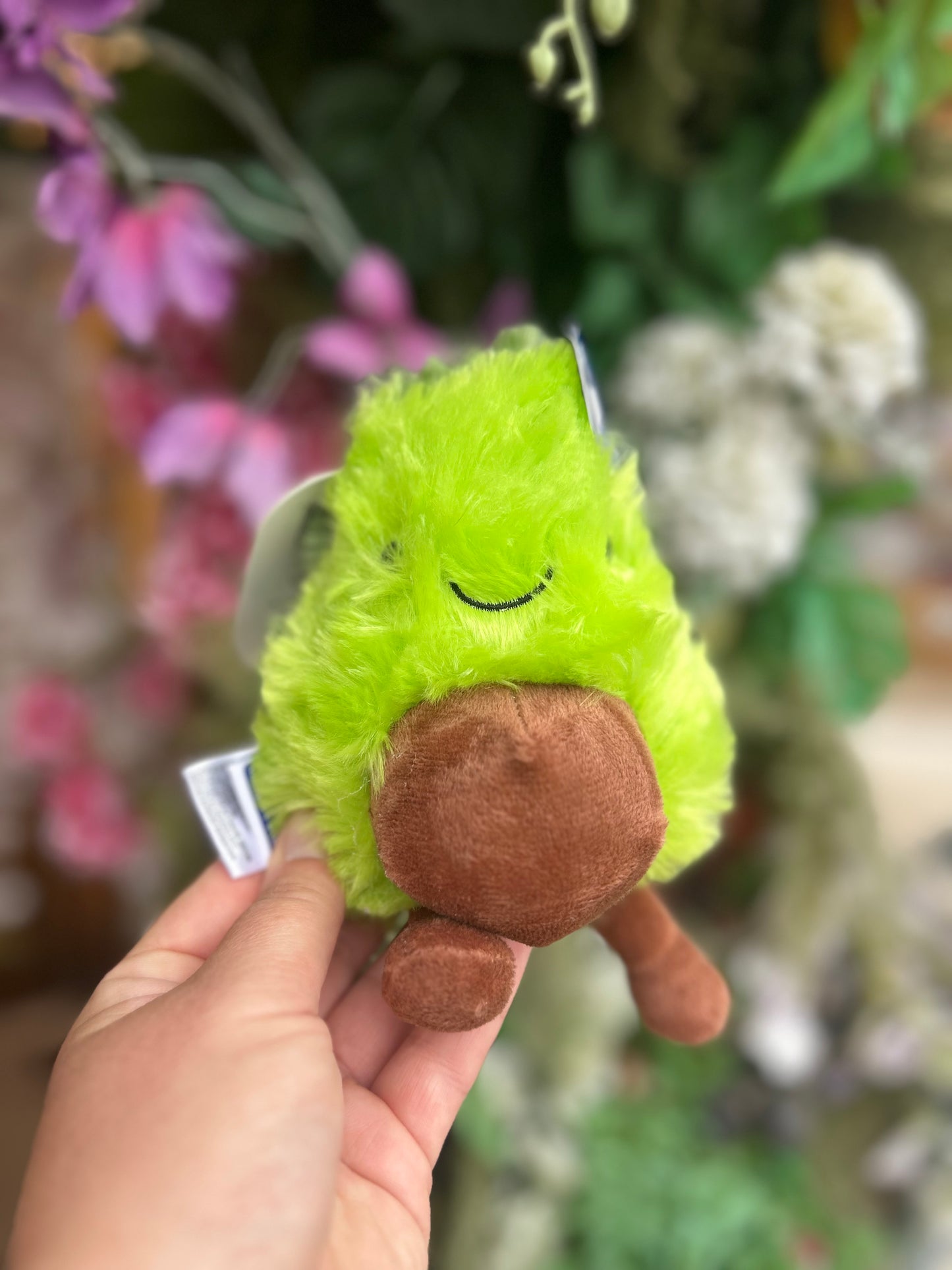 FRUITY FRIENDS FRUIT PLUSHIE DOG TOY