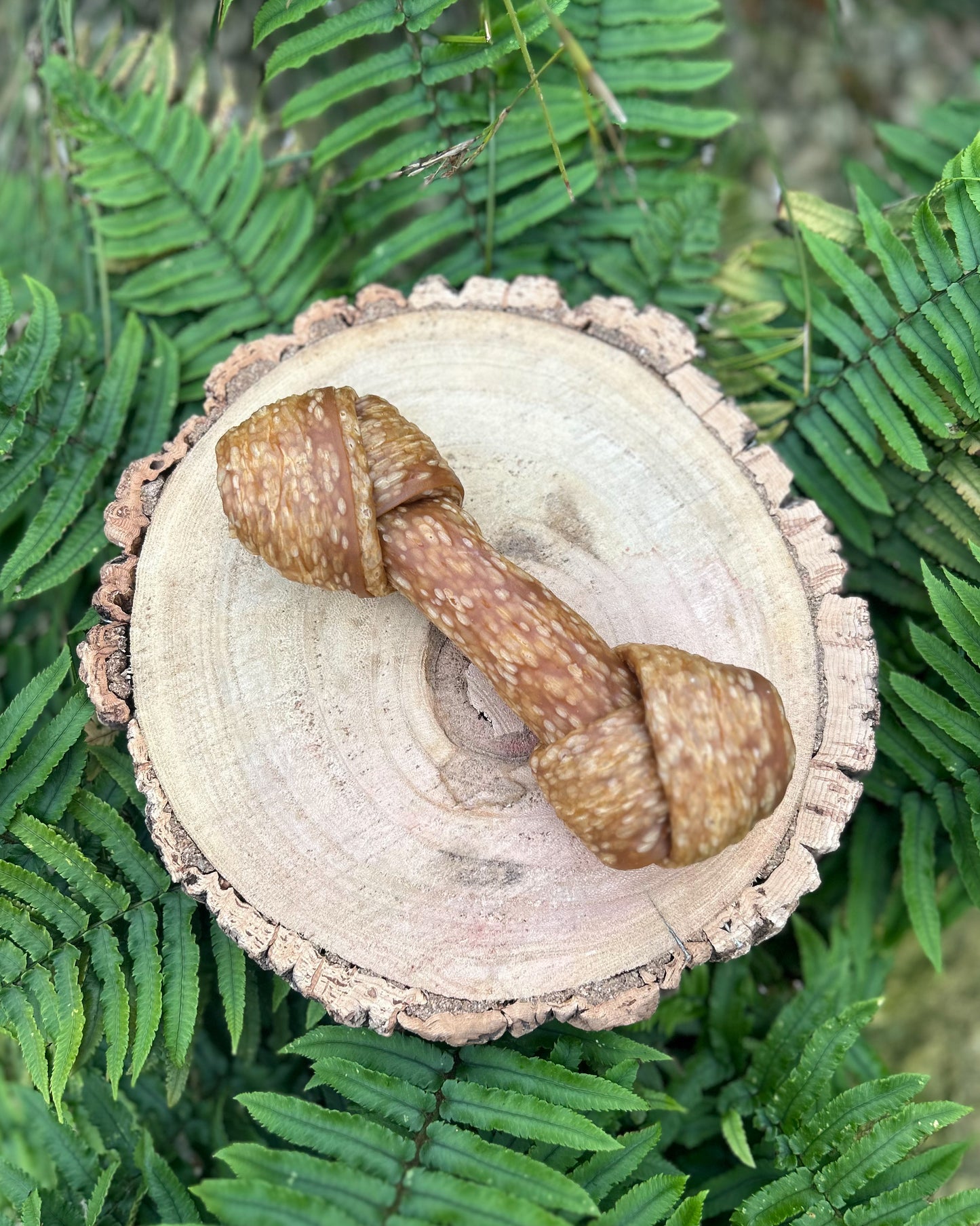 LARGE KNOTTED PUFFED CRANBERRY & PEANUT VEGGIE BONE