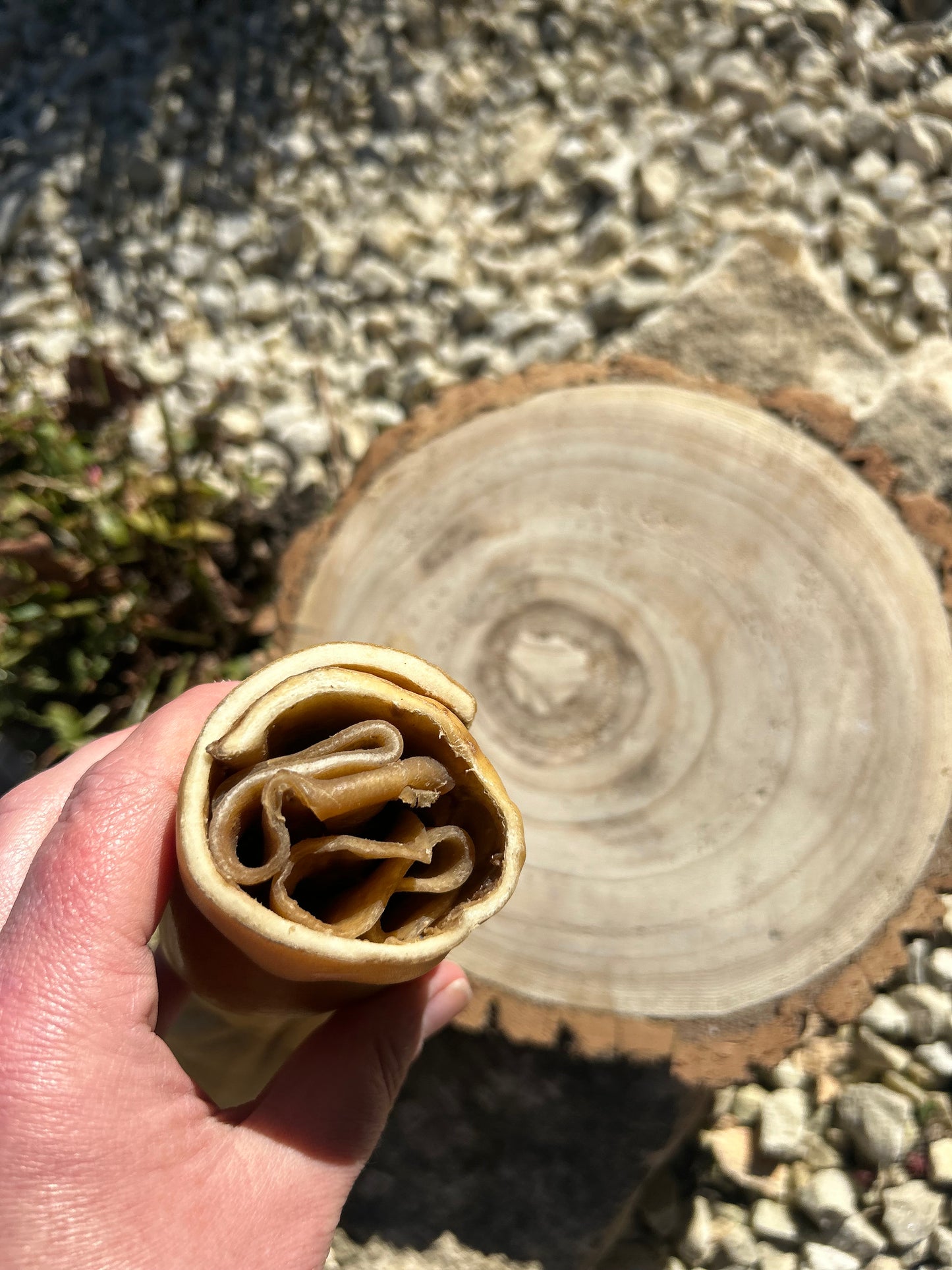 JUMBO BUFFALO ROLL LARGE LONG LASTING CHEW
