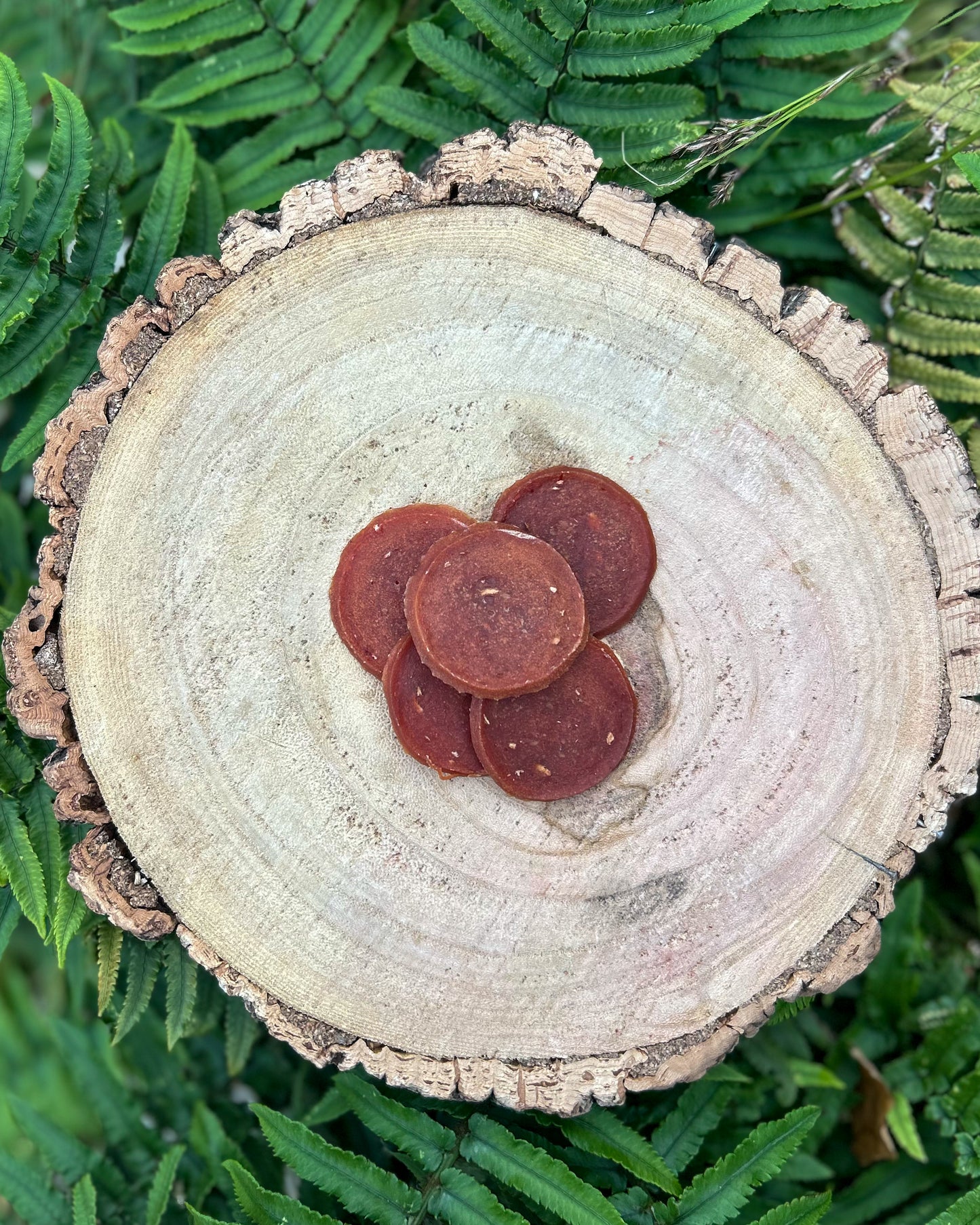 MEATY DUCK & APPLE COIN BITES