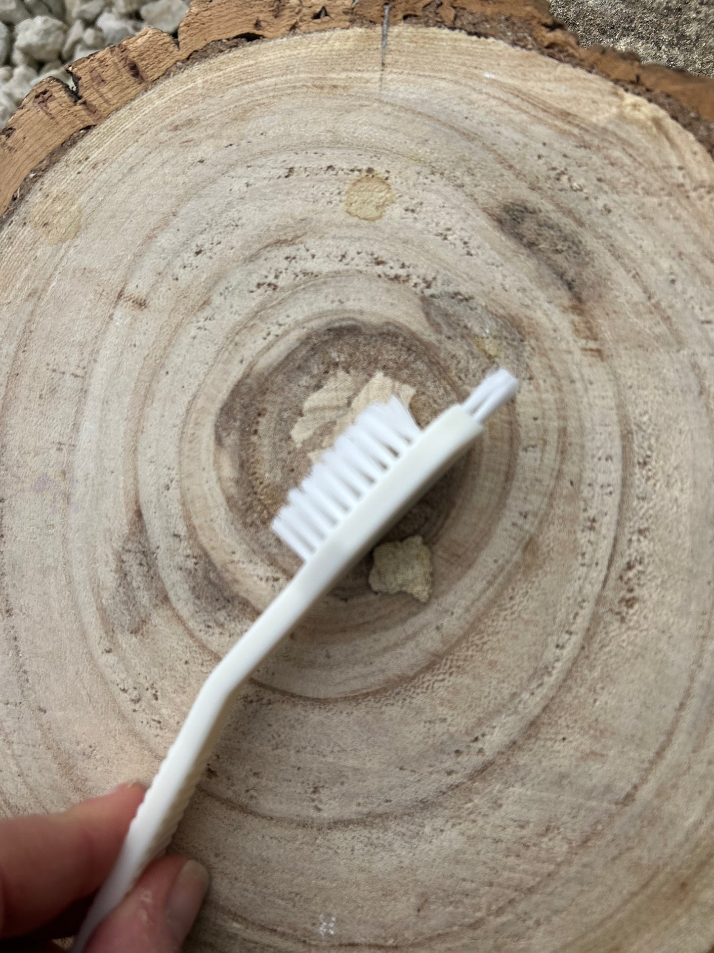 ENRICHMENT ACCESSORIES (CLEANING BRUSH & SPATULA)