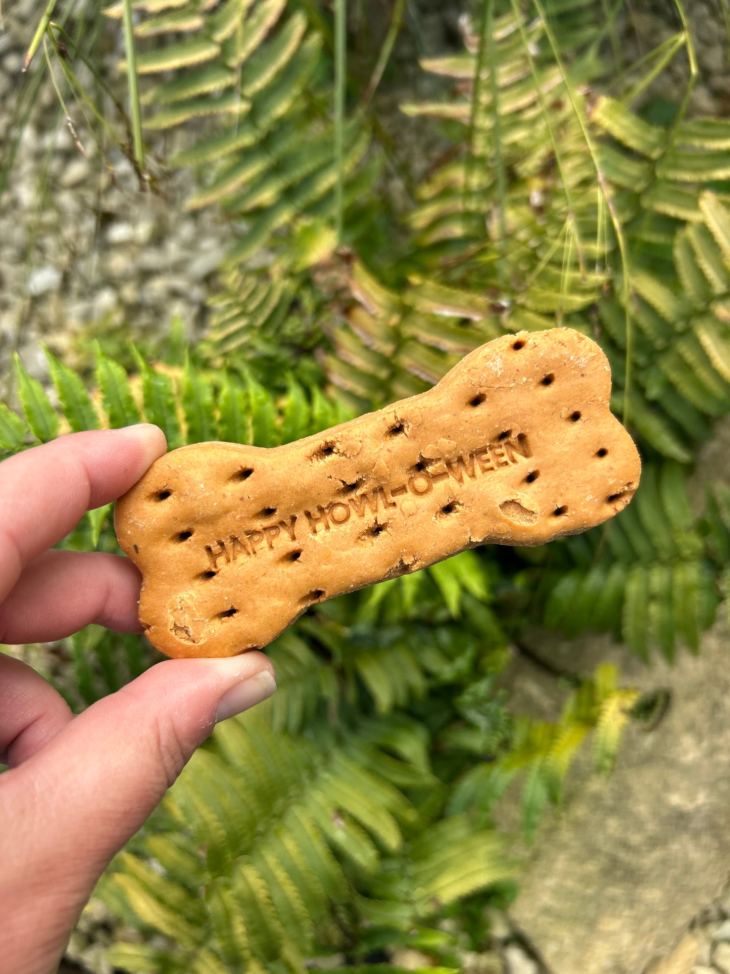 APAWTISER HAPPY HOWLOWEEN BISCUIT BONE TREAT