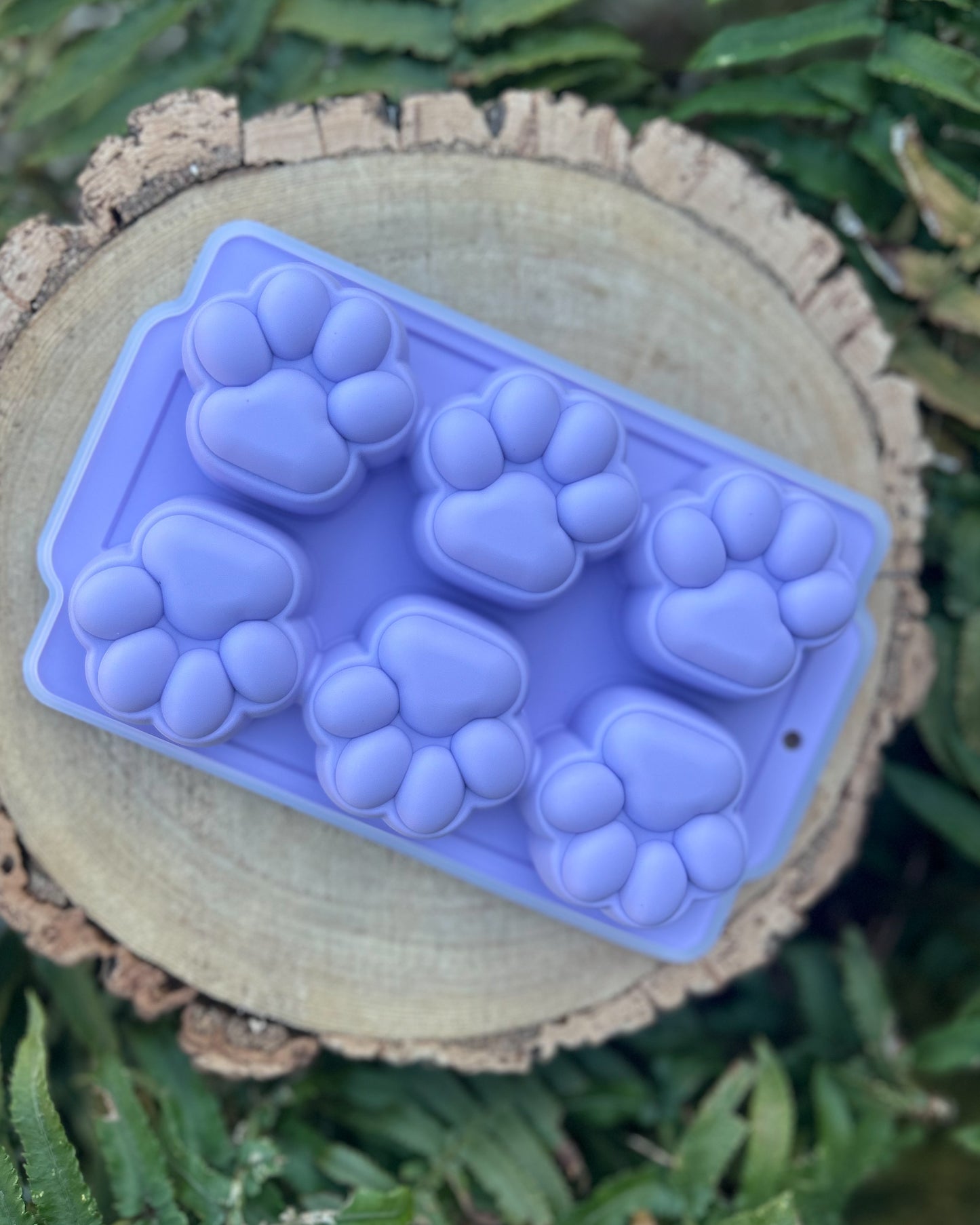 PAW PRINT SILICONE MOULDS WITH LIDS