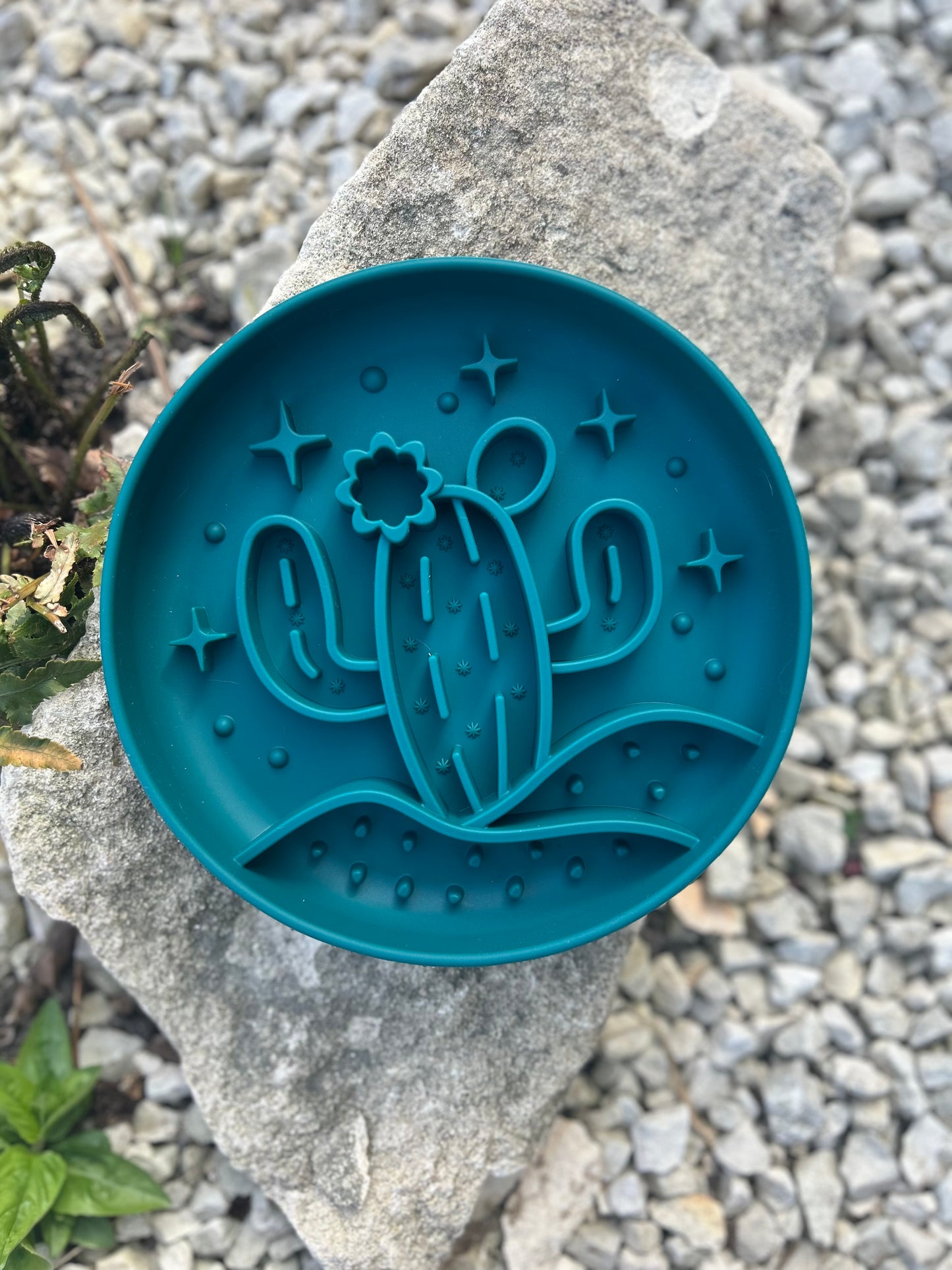 DESERT DINNER CACTUS SLOW FEEDER BOWL
