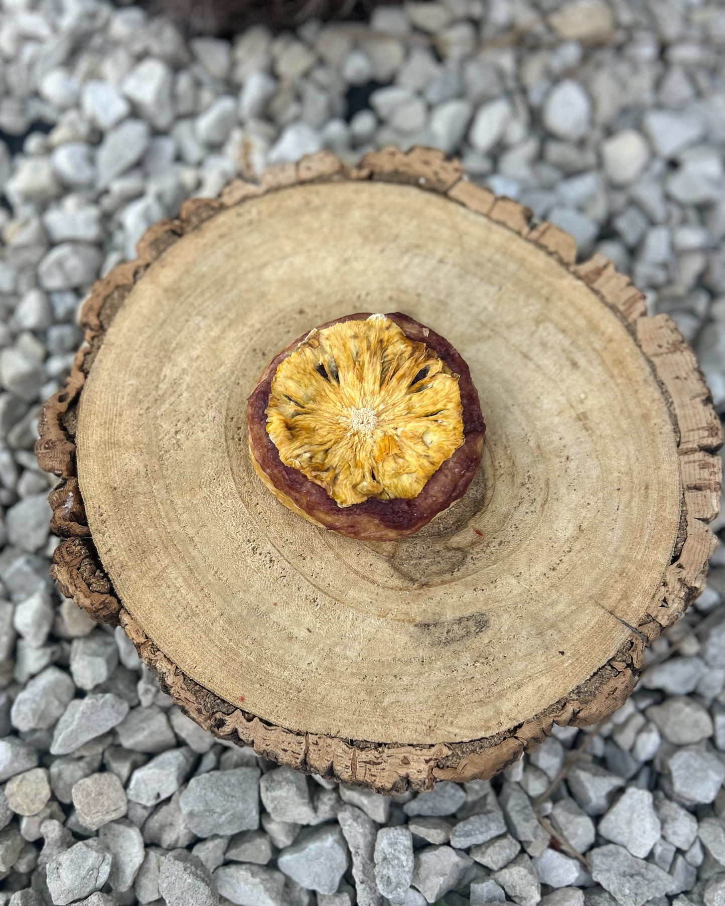 BEEF & PINEAPPLE COLLAGEN DONUT