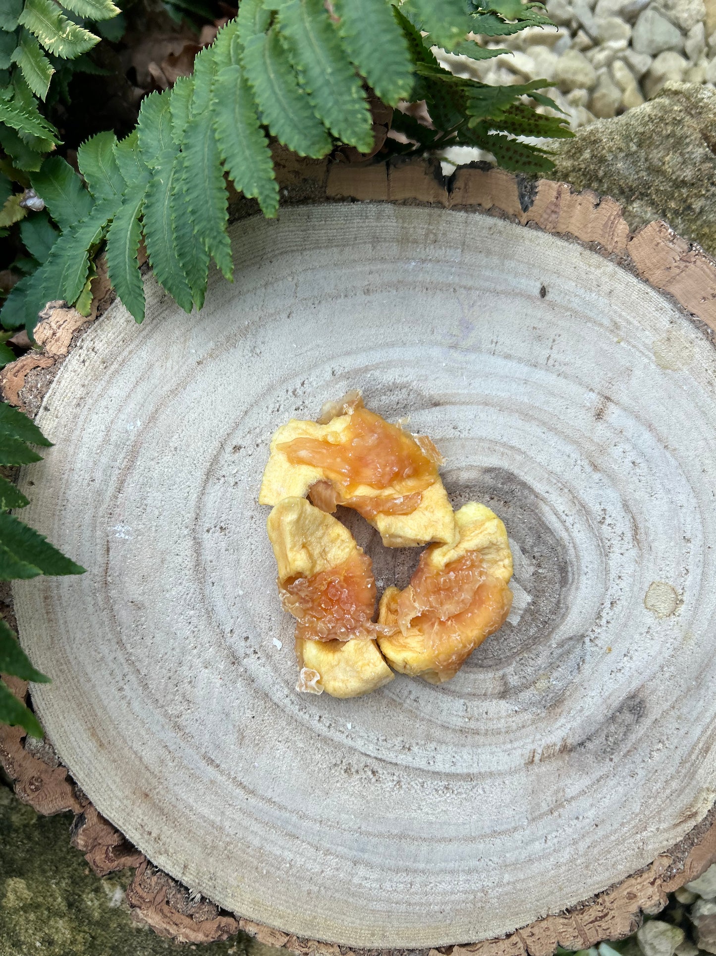 APPLE WRAPPED WITH CHICKEN 100g