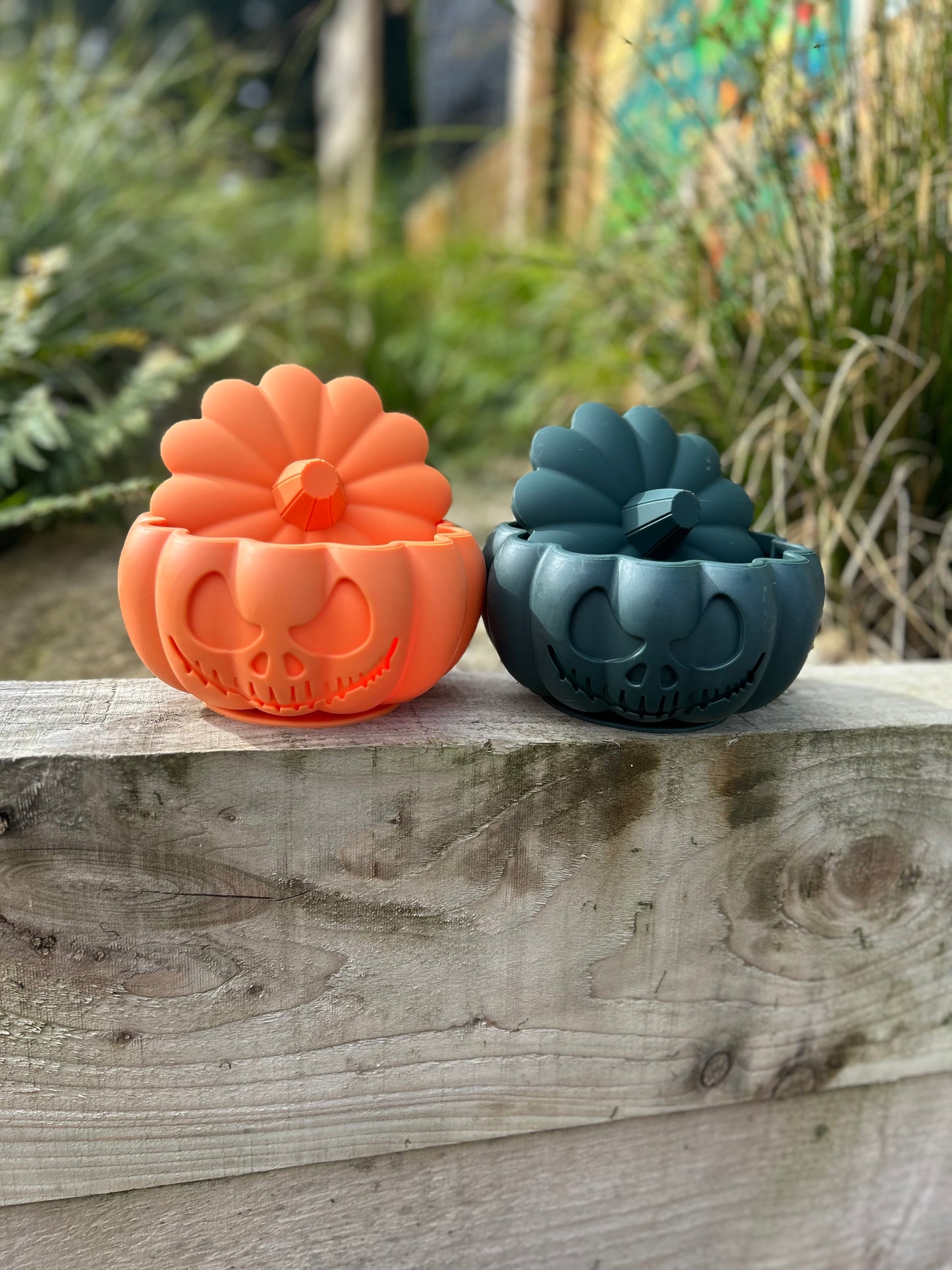 THE PUMPKIN POT ENRICHMENT BOWL