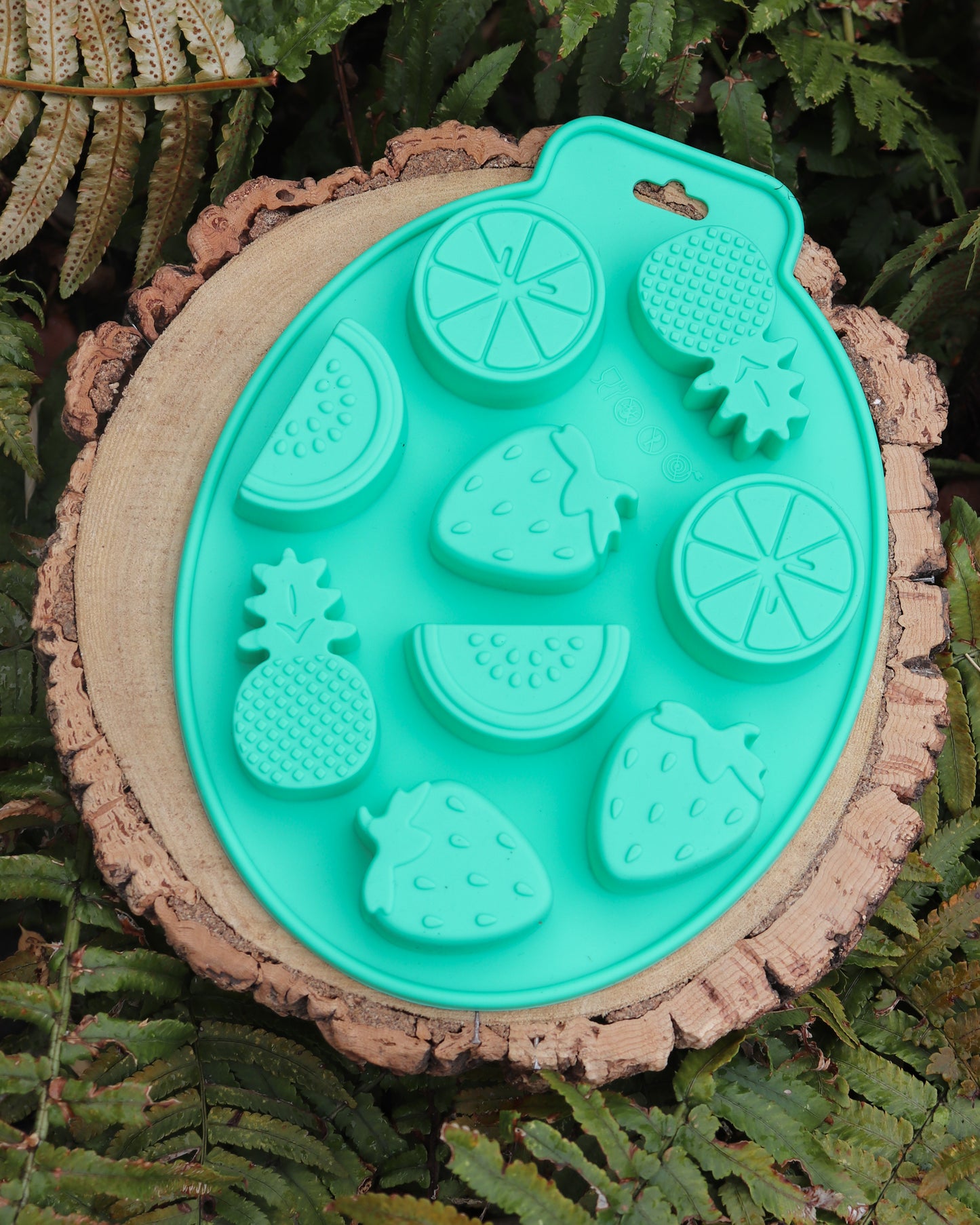 SUMMER FRUIT SILICONE MOULD