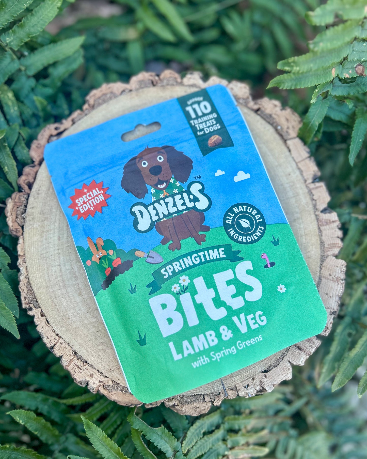 DENZELS SPRING BITES DOG TREATS