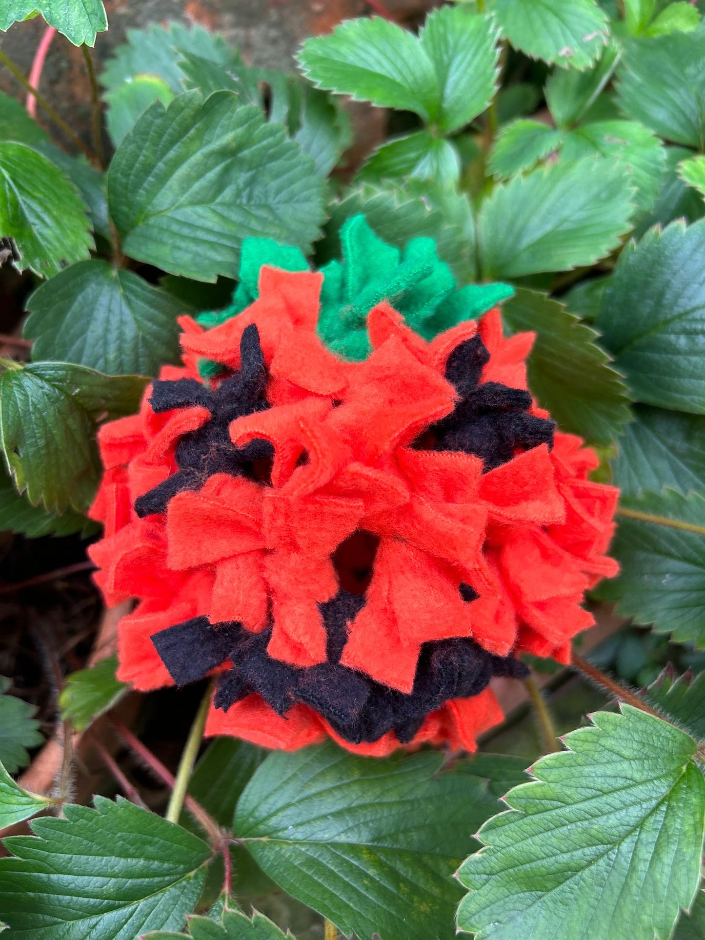 “JACK” FEAST FLEECE BALL