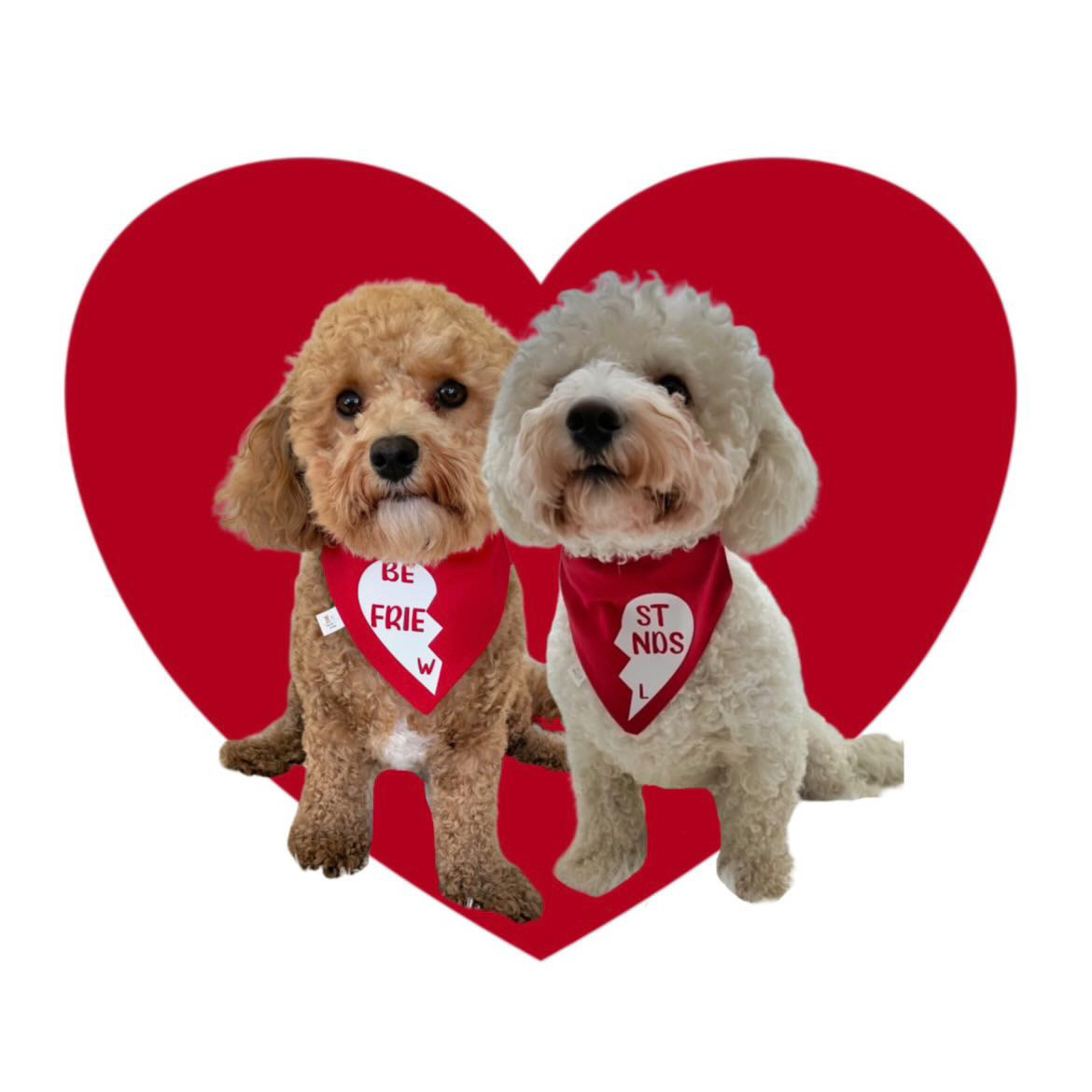 BEST FRIENDS (set of 2) BANDANA