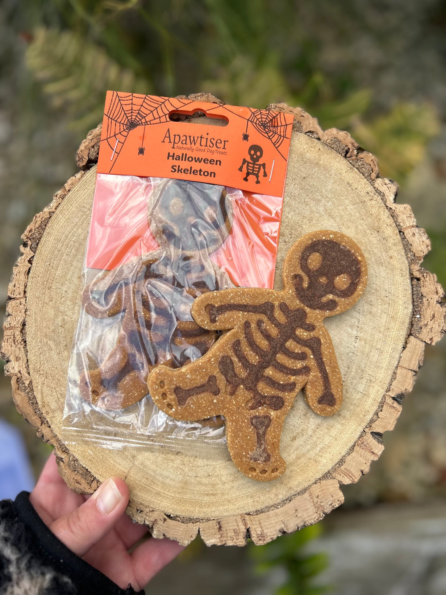 APAWTISER SPOOKY HALLOWEEN SKELETON BISCUIT TREAT