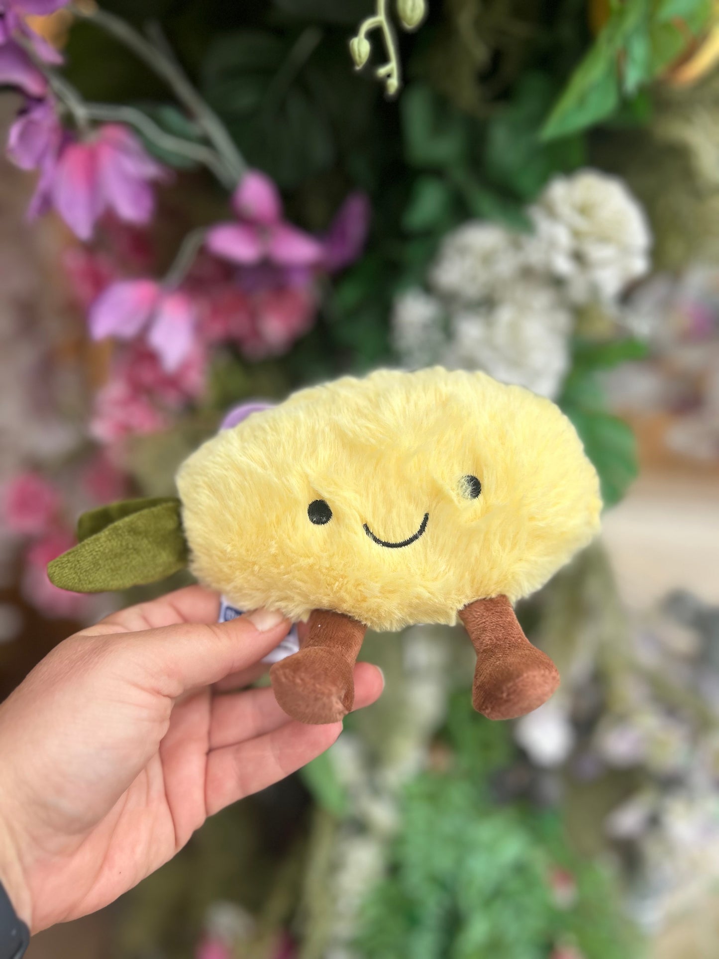 FRUITY FRIENDS FRUIT PLUSHIE DOG TOY