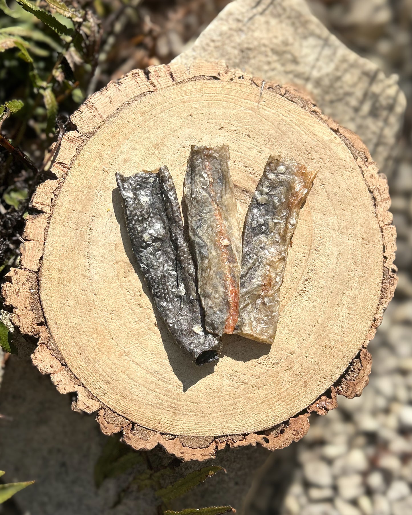 MEDIUM COD FISH SKIN STRIPS